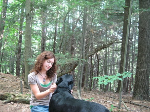Dogs, dogs, dogs.