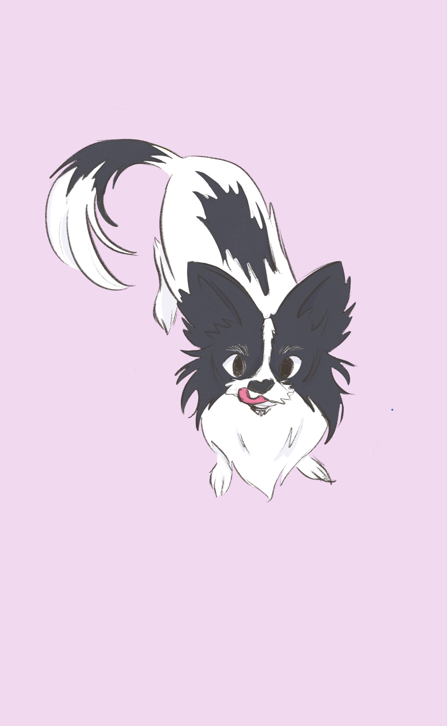 Maggie - Pet Commission