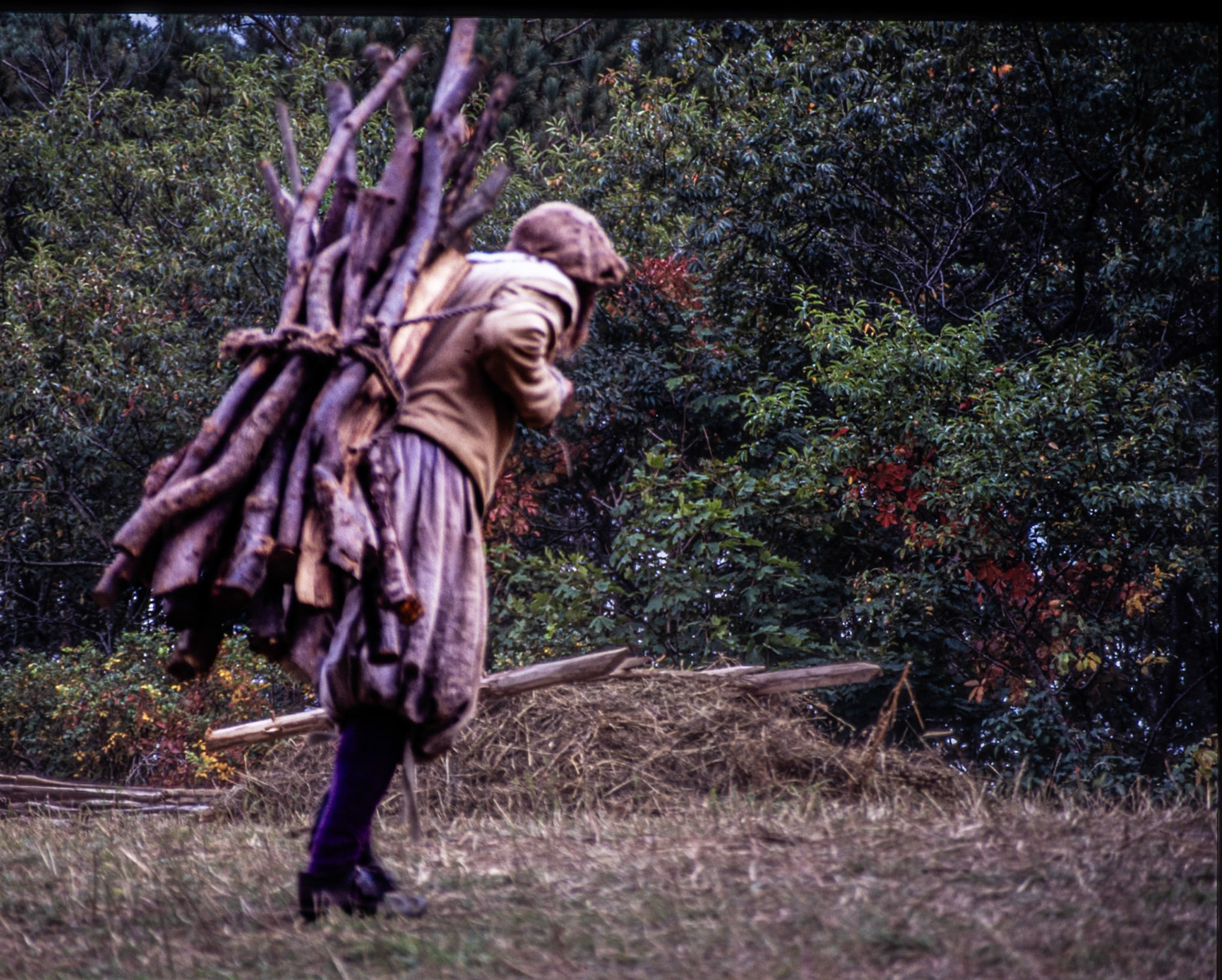 'Early' Pilgrim Settler