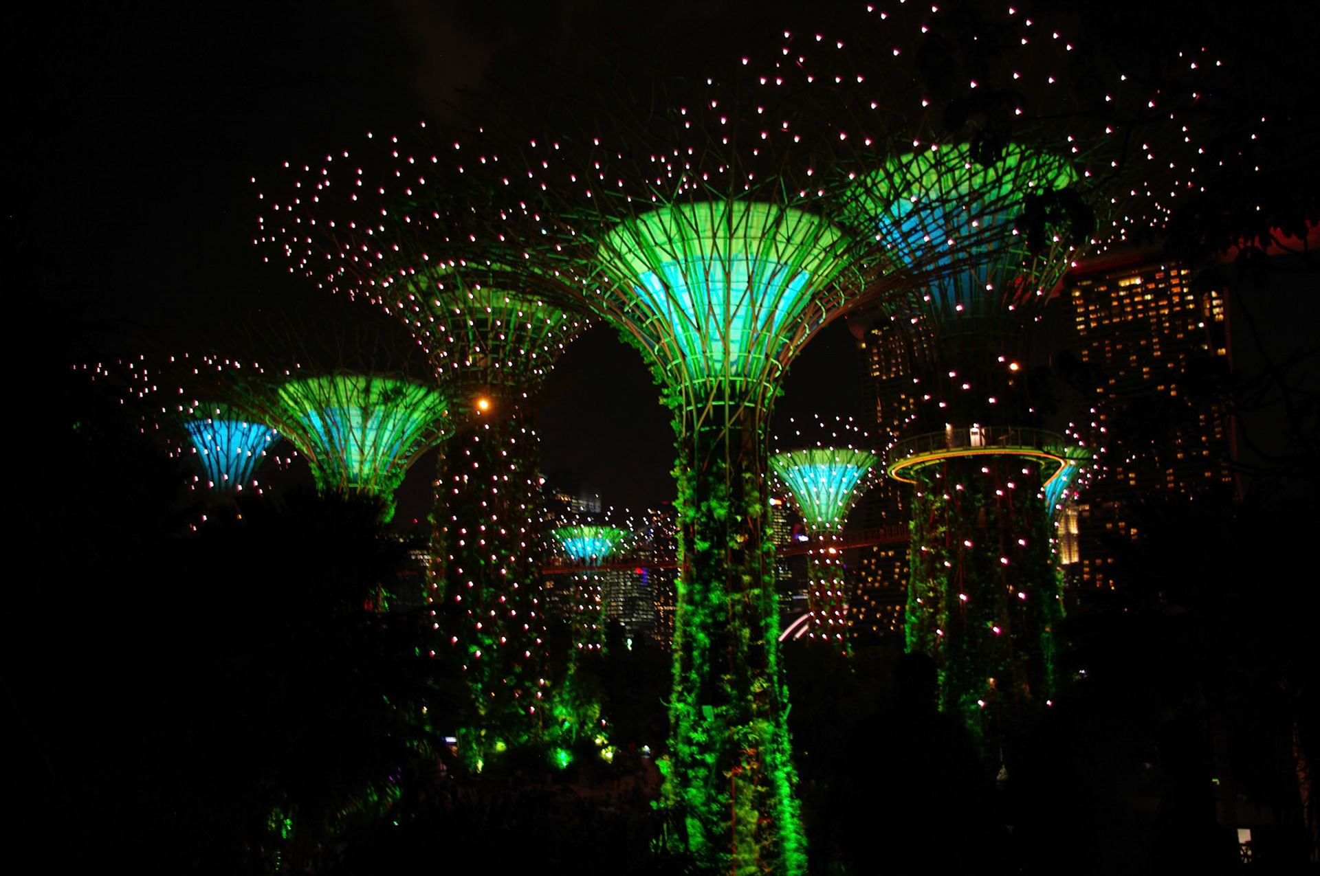 Gardens By The Bay - Singapore