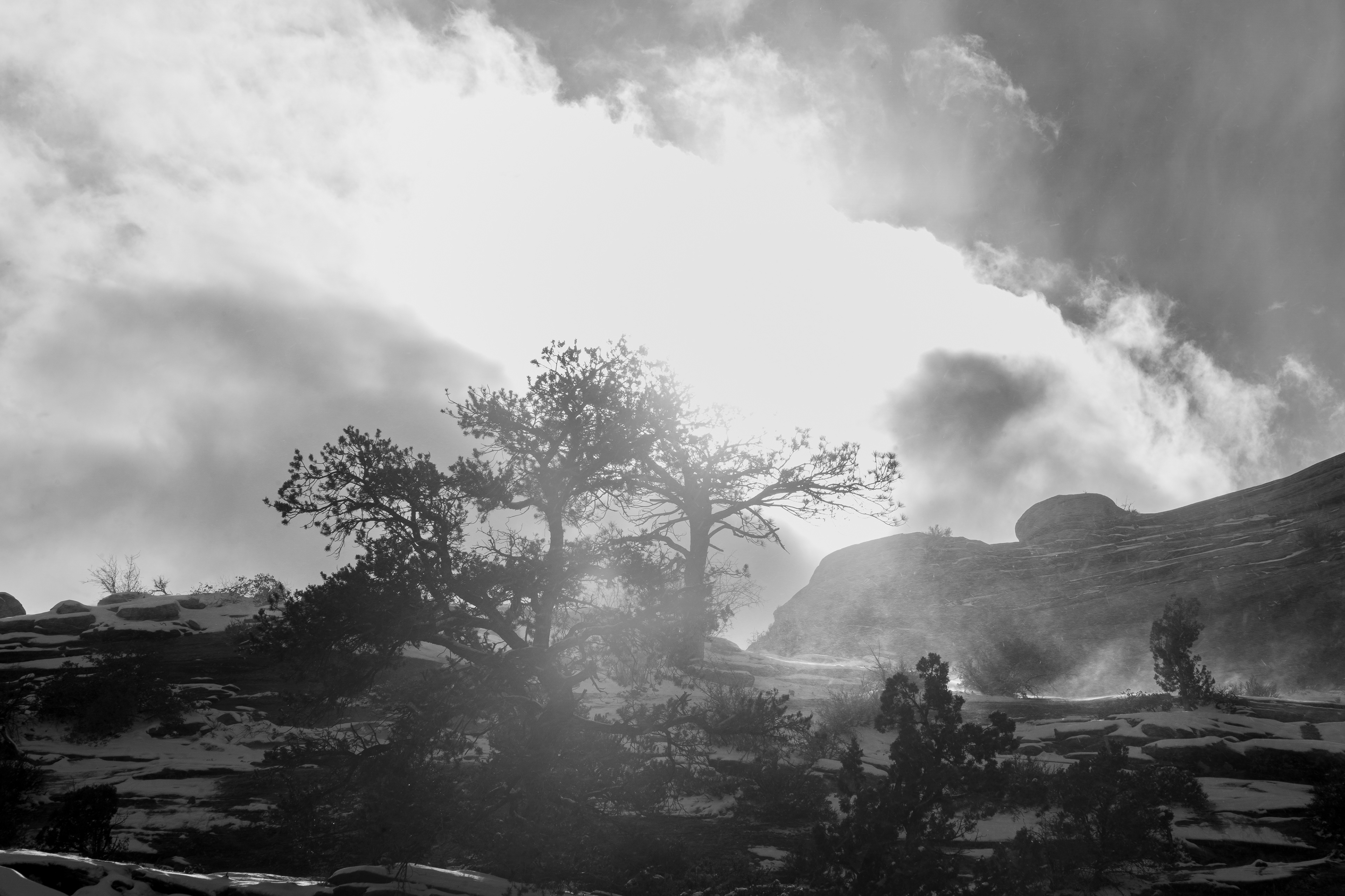 Dreamscape