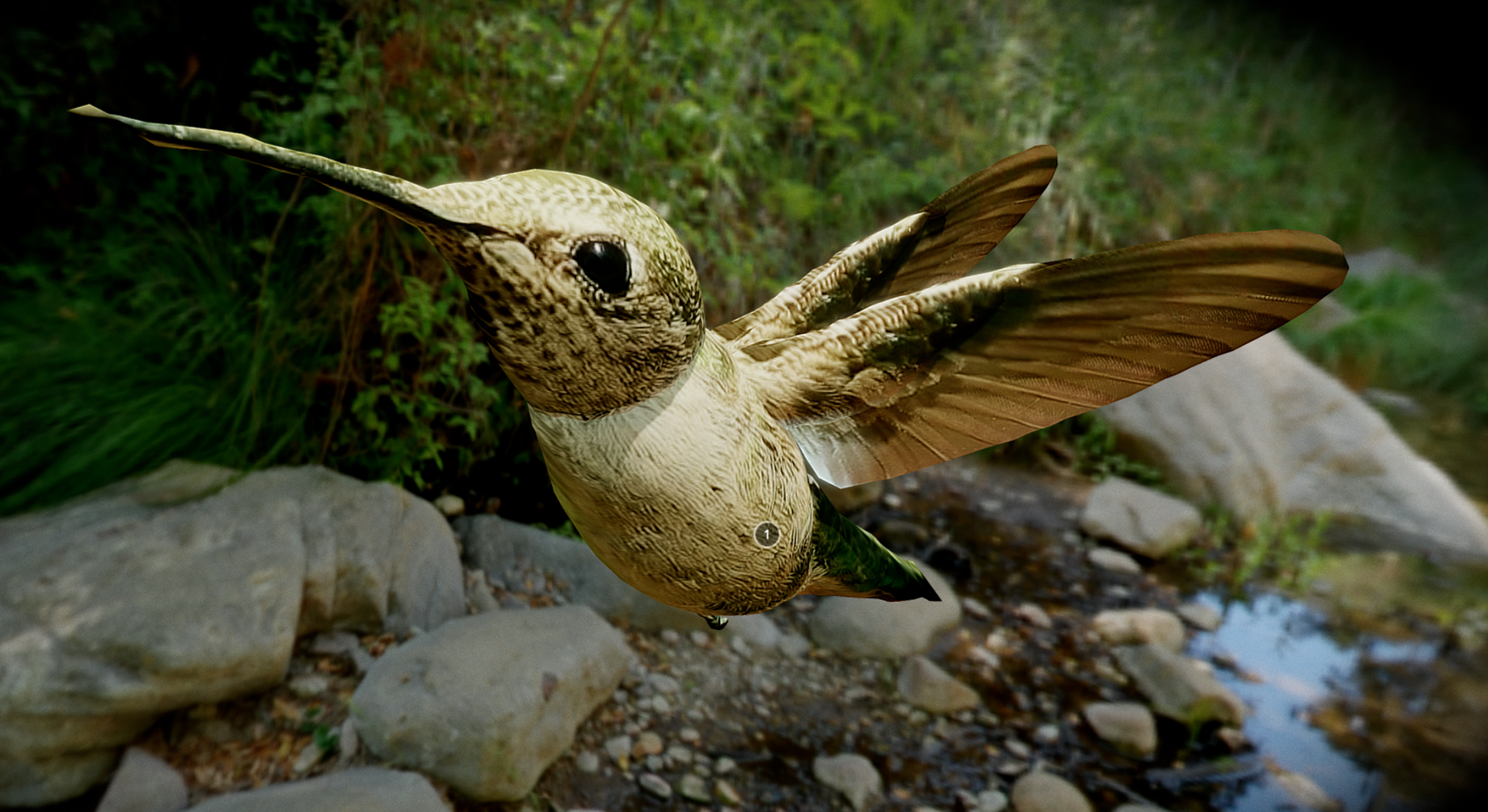 3d Nature