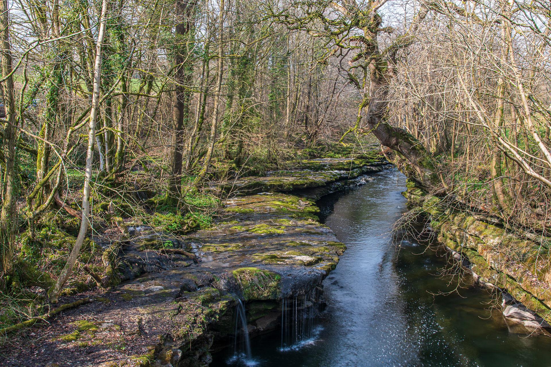 Force Falls, Sedgwick