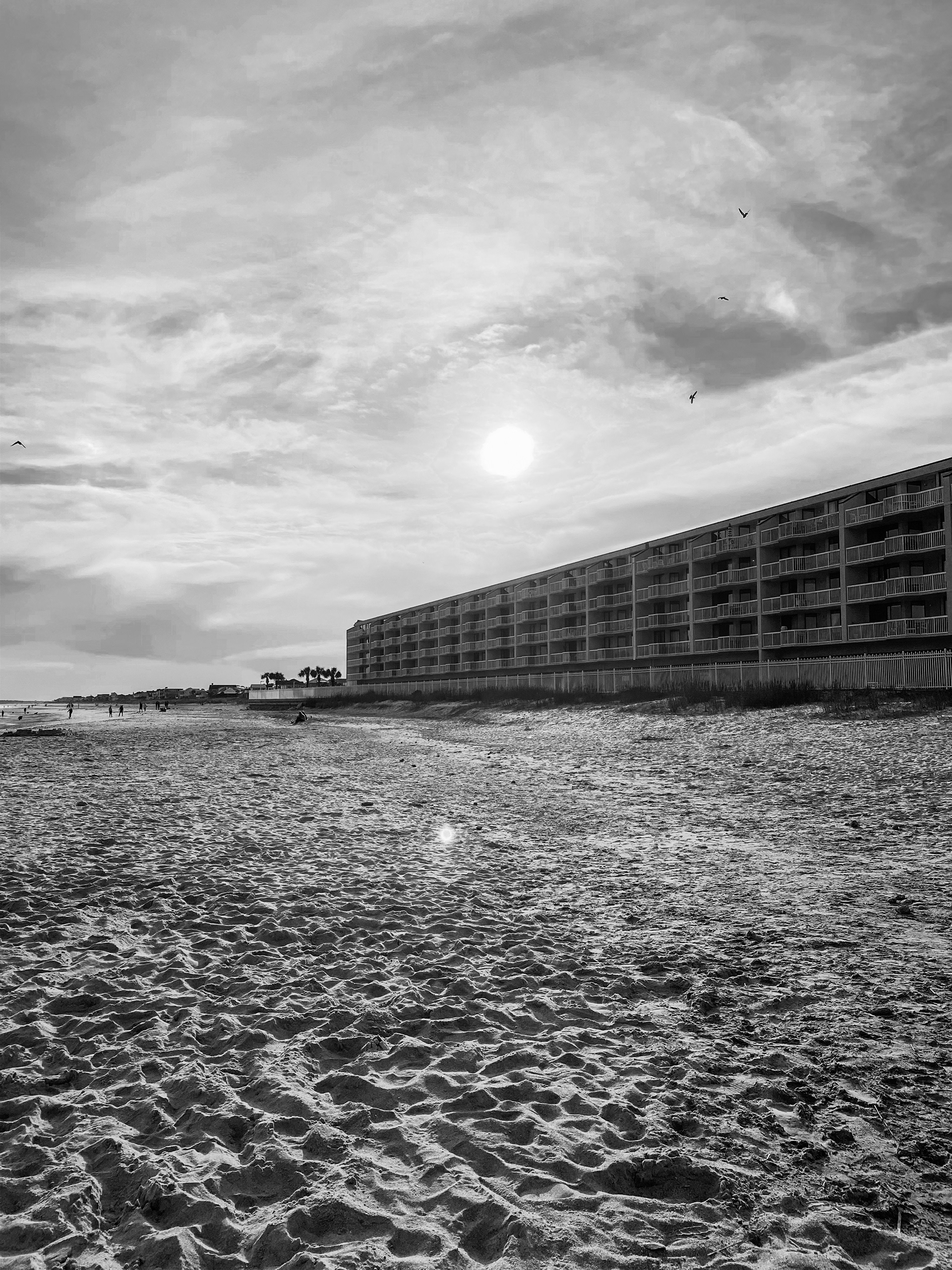 SAFE HAVEN April 2021 Charleston , SC