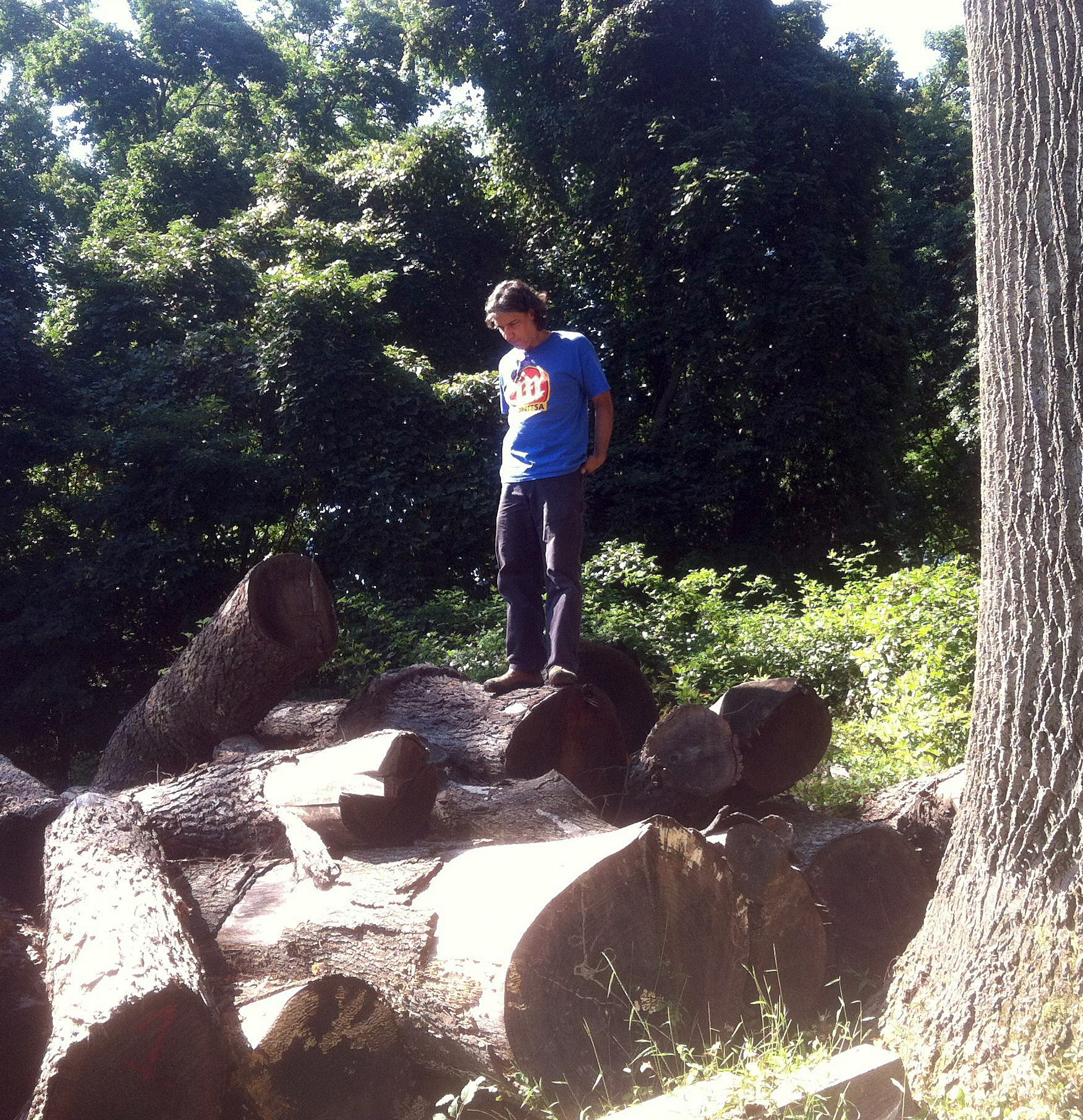 Selecting Wood