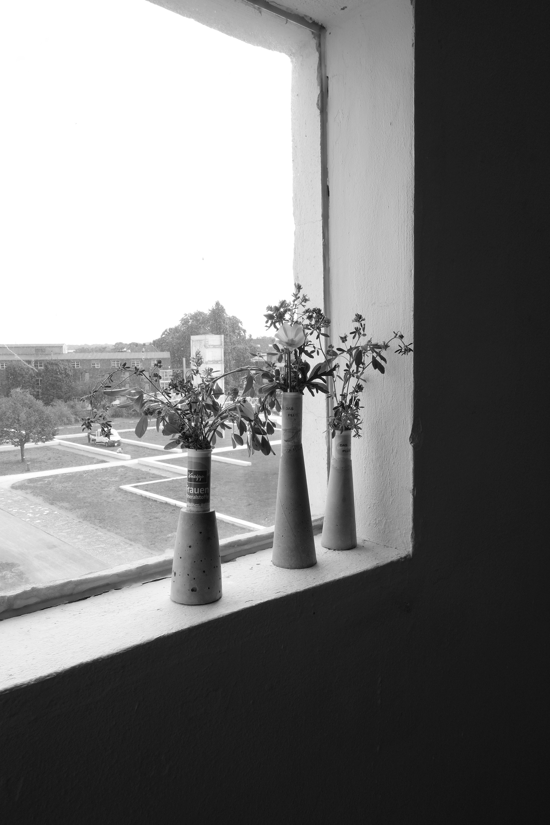 Vitamin tubes, Concrete and plants from the park