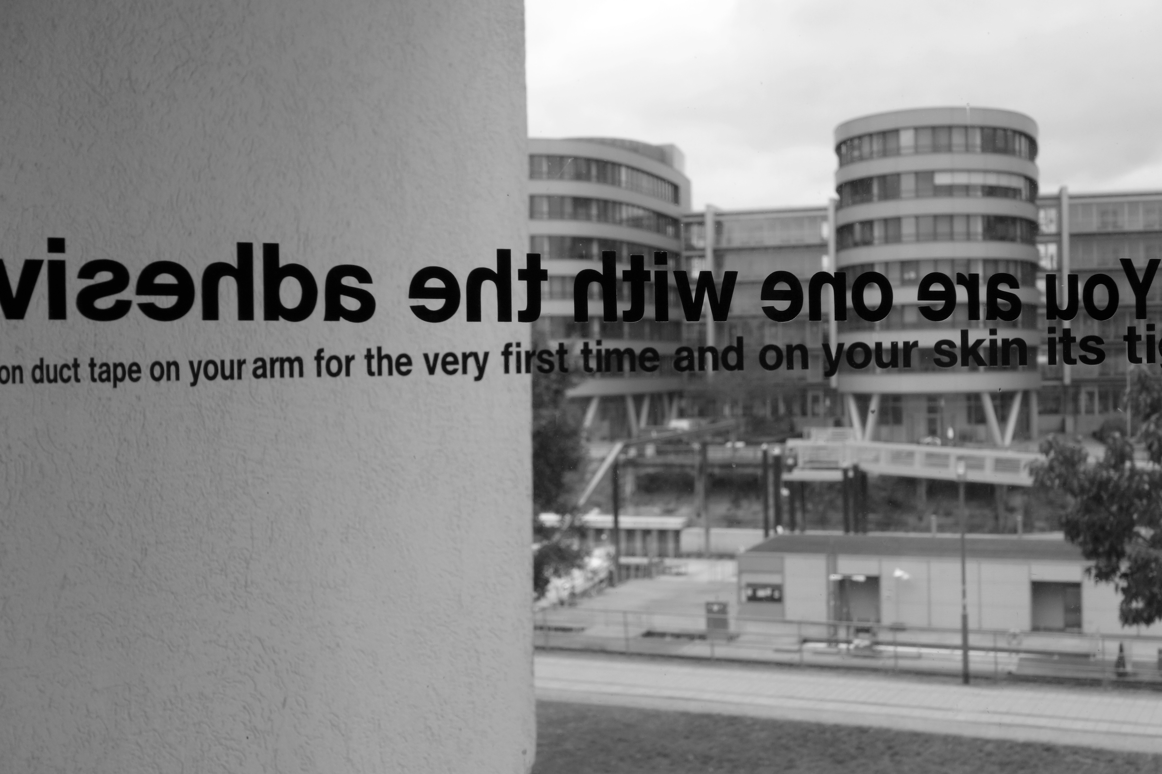 Vinyl lettres on window