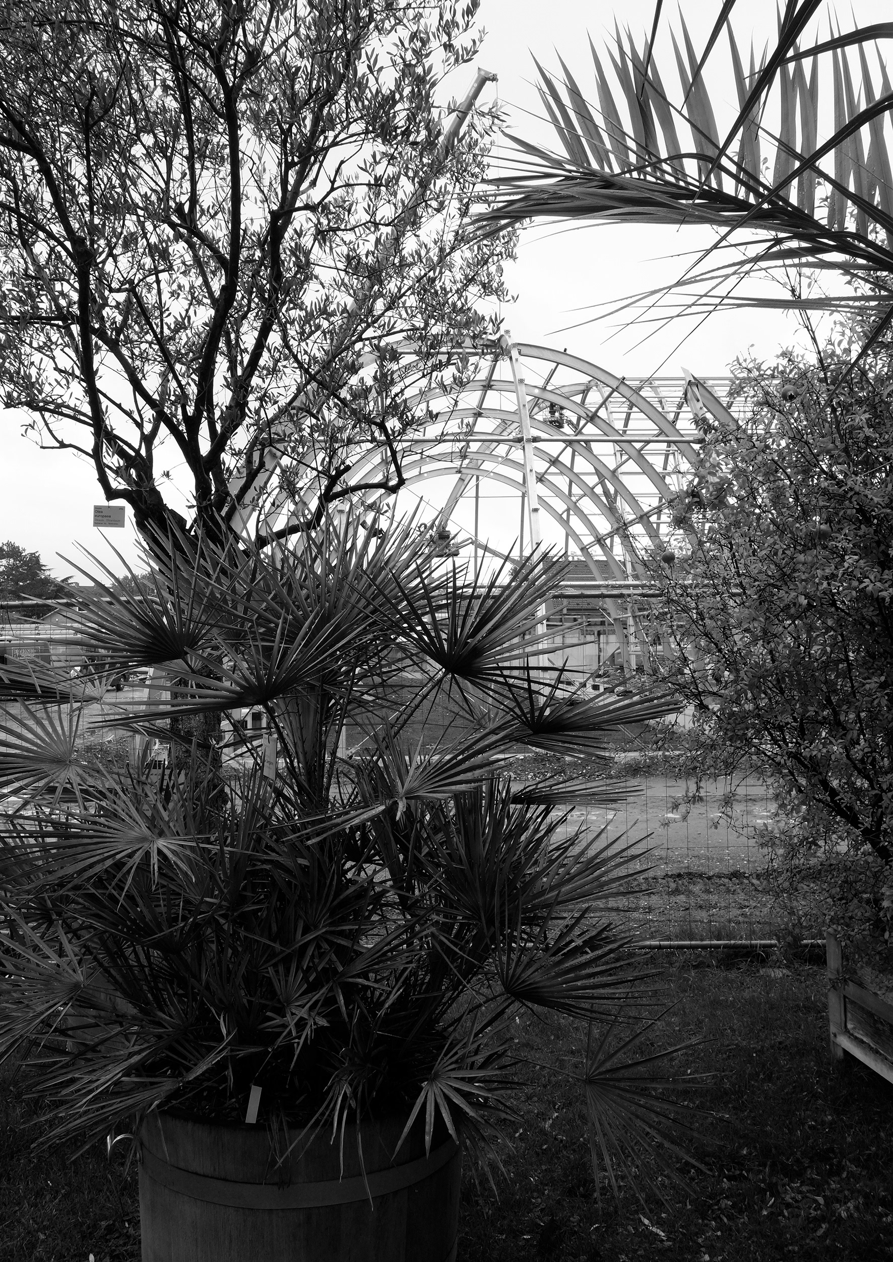 Skeleton, Inkjet Print on Hahnemühle Photo Rag, 29,7 x42cm