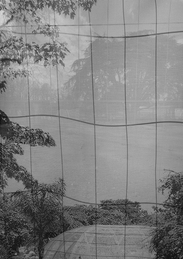 Storyboard (Cedar), Inkjet Print on Hahnemühle Photo Rag, 29,7 x 42cm