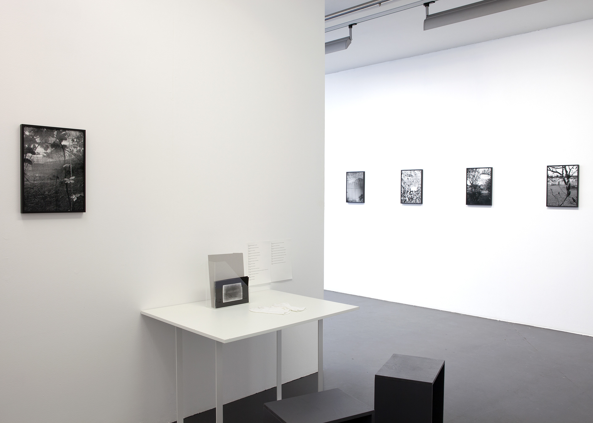 Installation view Glasmoog, Photo: Heidi Pfohl