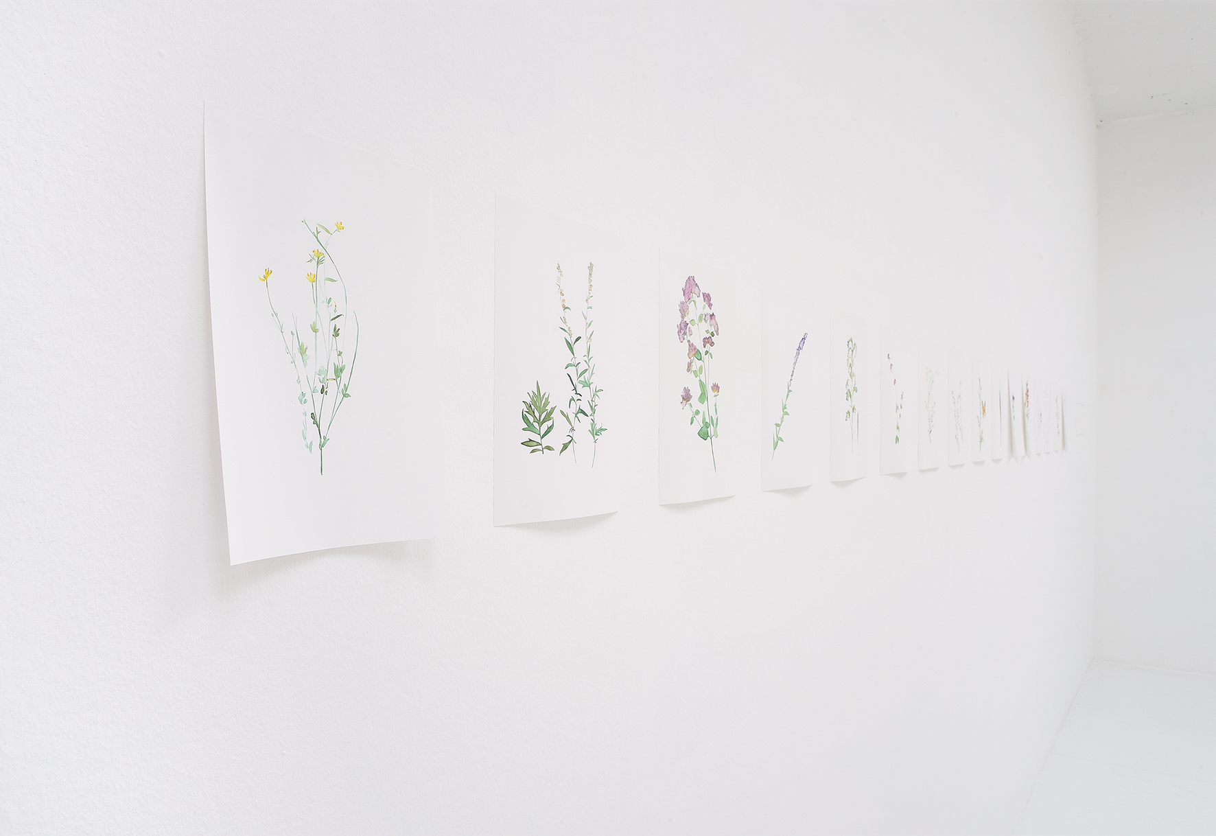 Installation view, Sophie Krambrich, Photo: R. Doubrawa