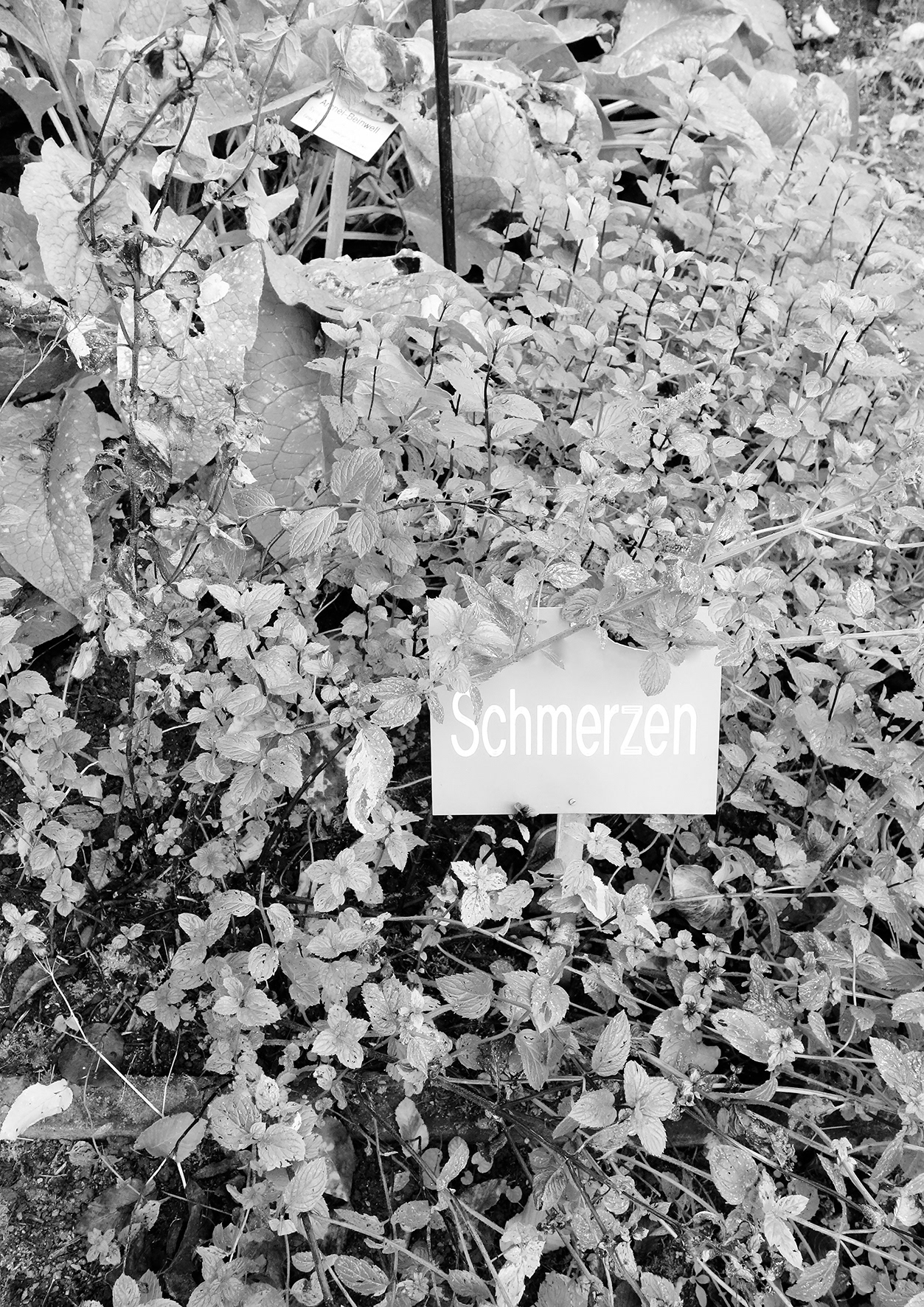 Schmerzen, Inkjet Print on Hahnemühle Photo Rag, 29,7 x 42 cm