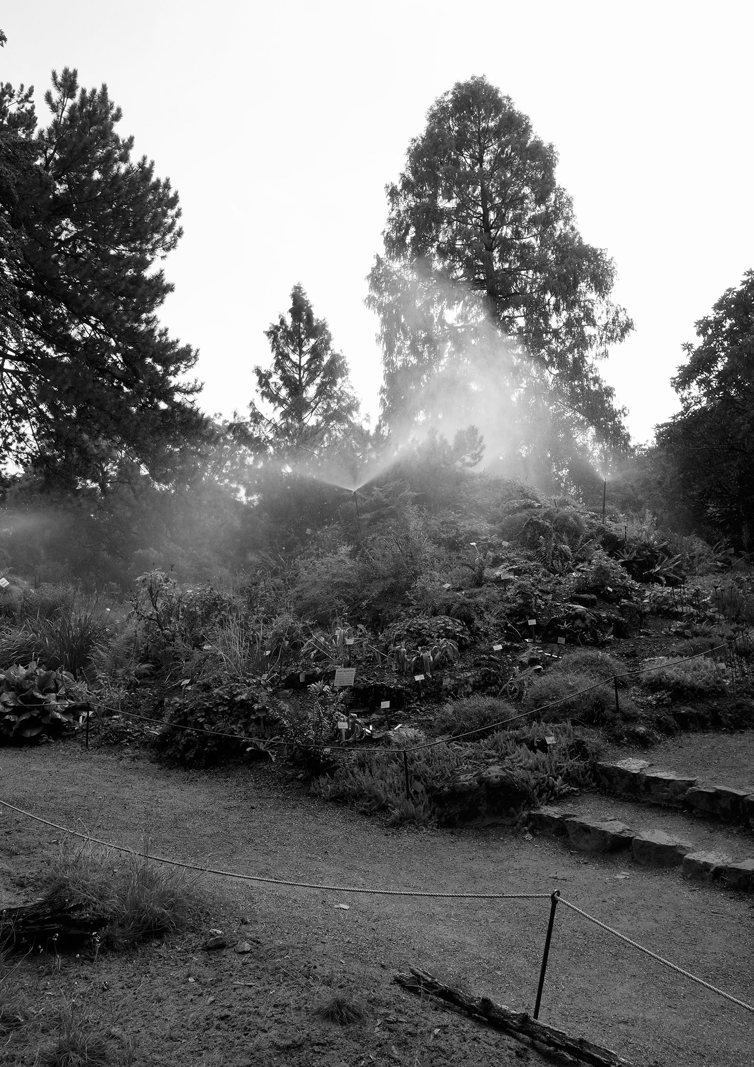 Landscape of labels, Inkjet Print on Hahnemühle Photo Rag, 29,7 x42cm