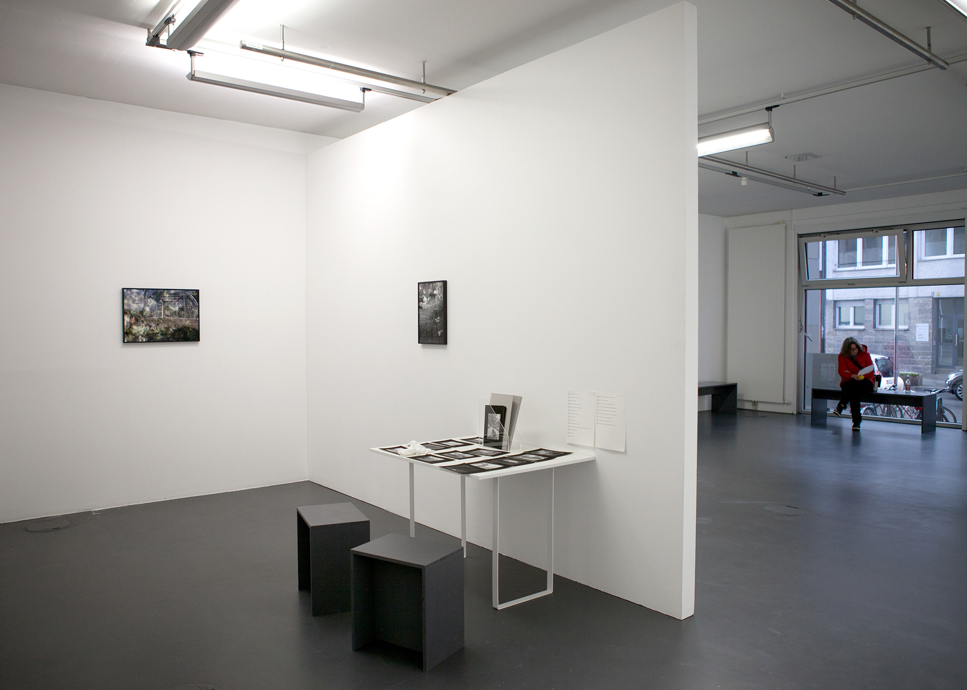 Installation view Glasmoog, Photo: Heidi Pfohl