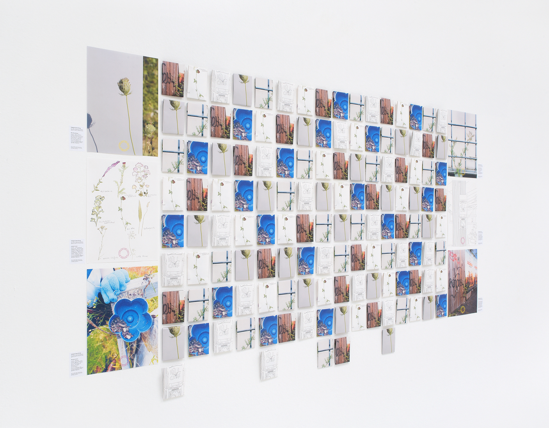 Six different seed mixes