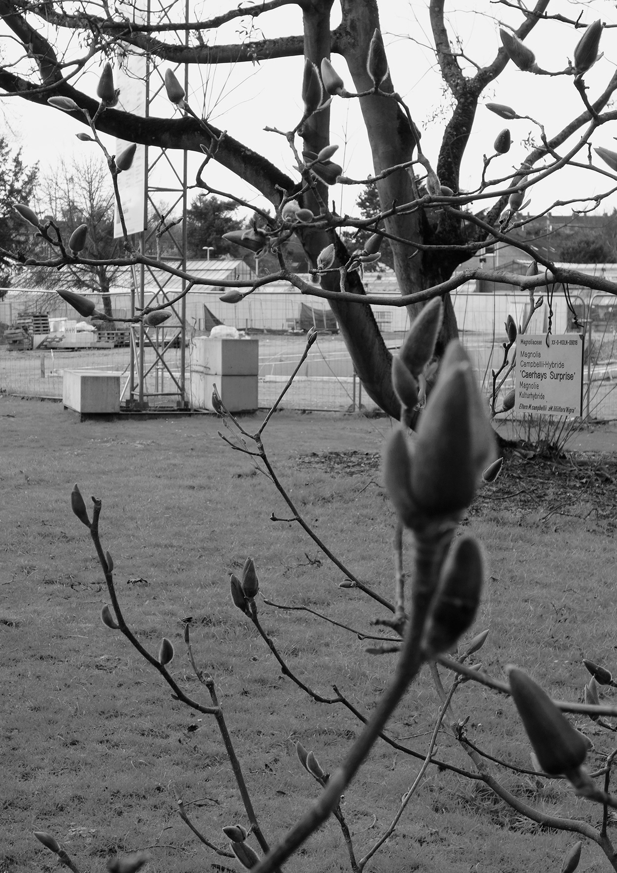 Untitled, Inkjet Print on Hahnemühle Photo Rag, 29,7 x 42 cm