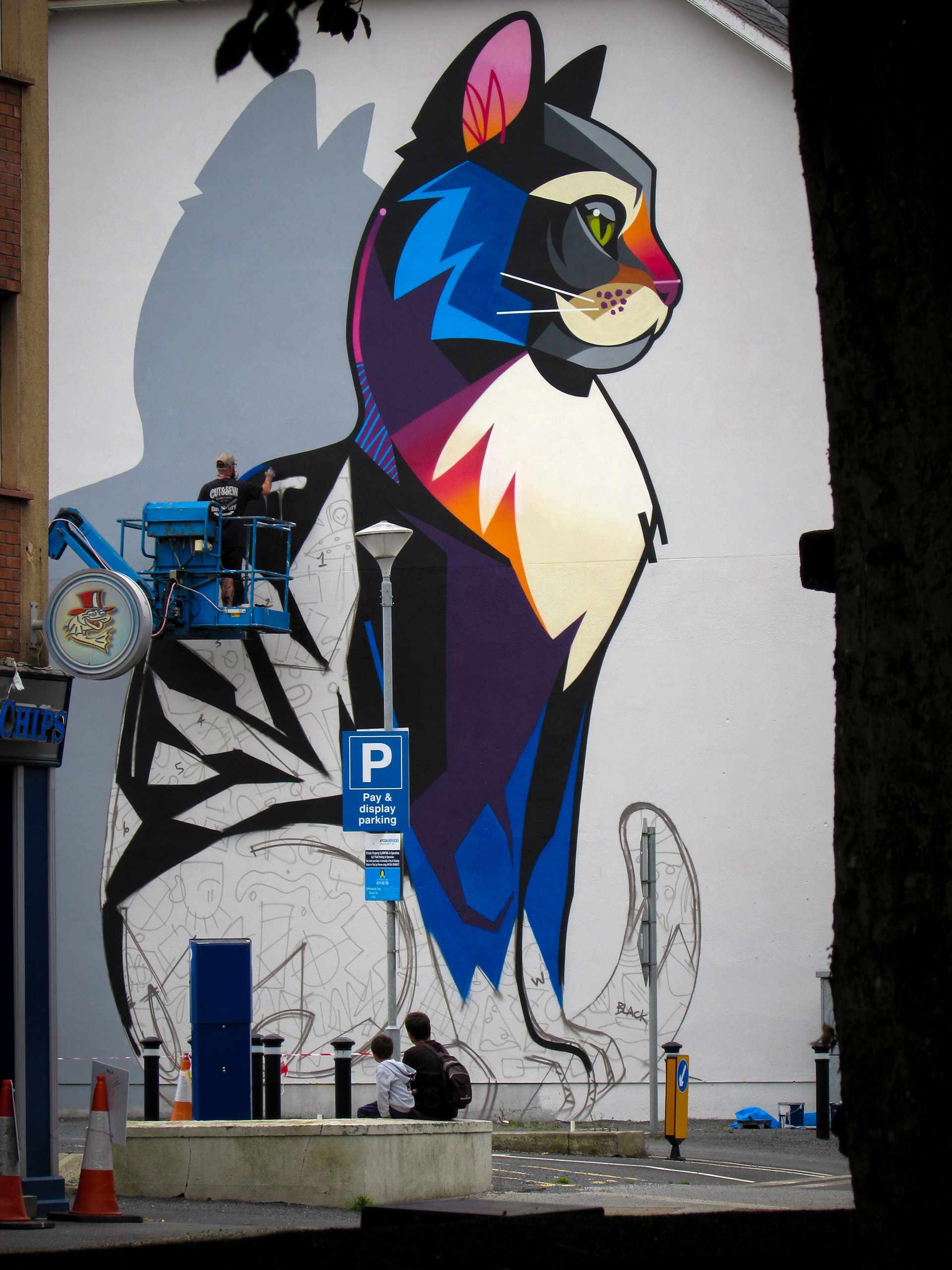 Waterford Walls: Danleo