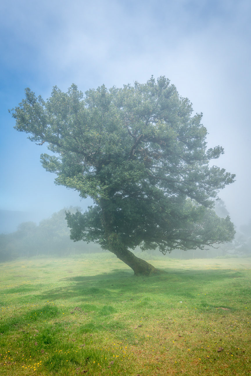 Madeira