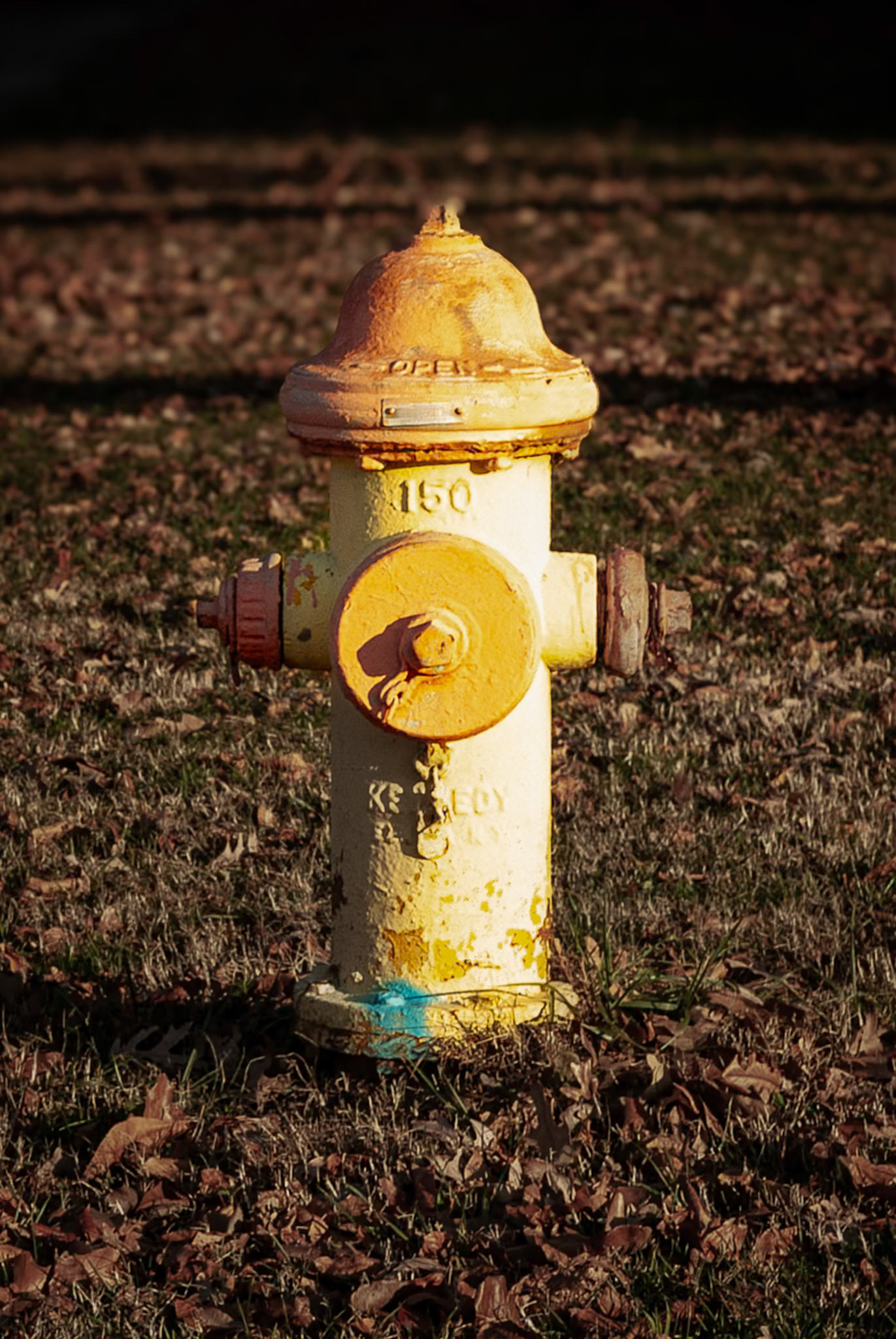 Metal Fireman