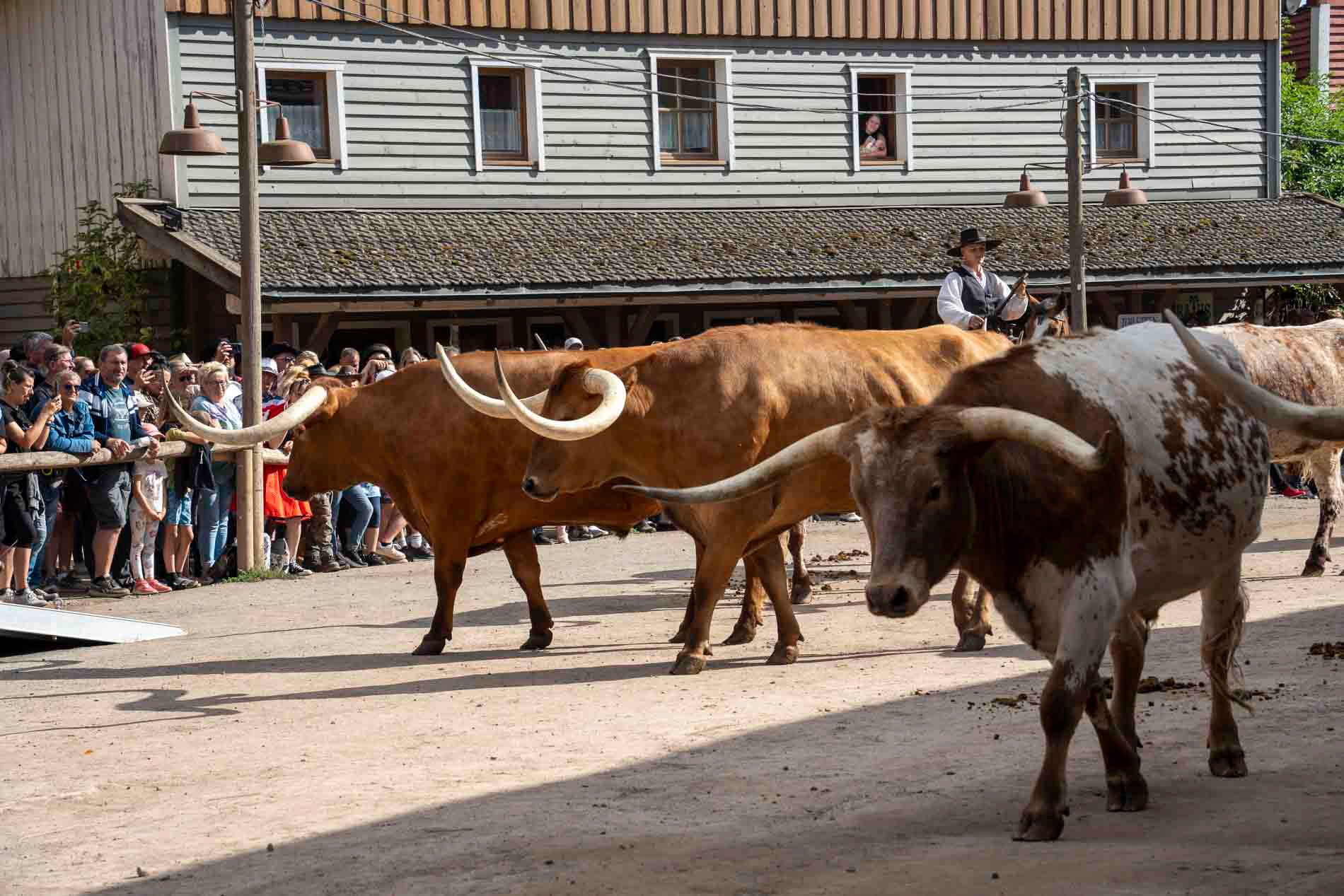 Western Show