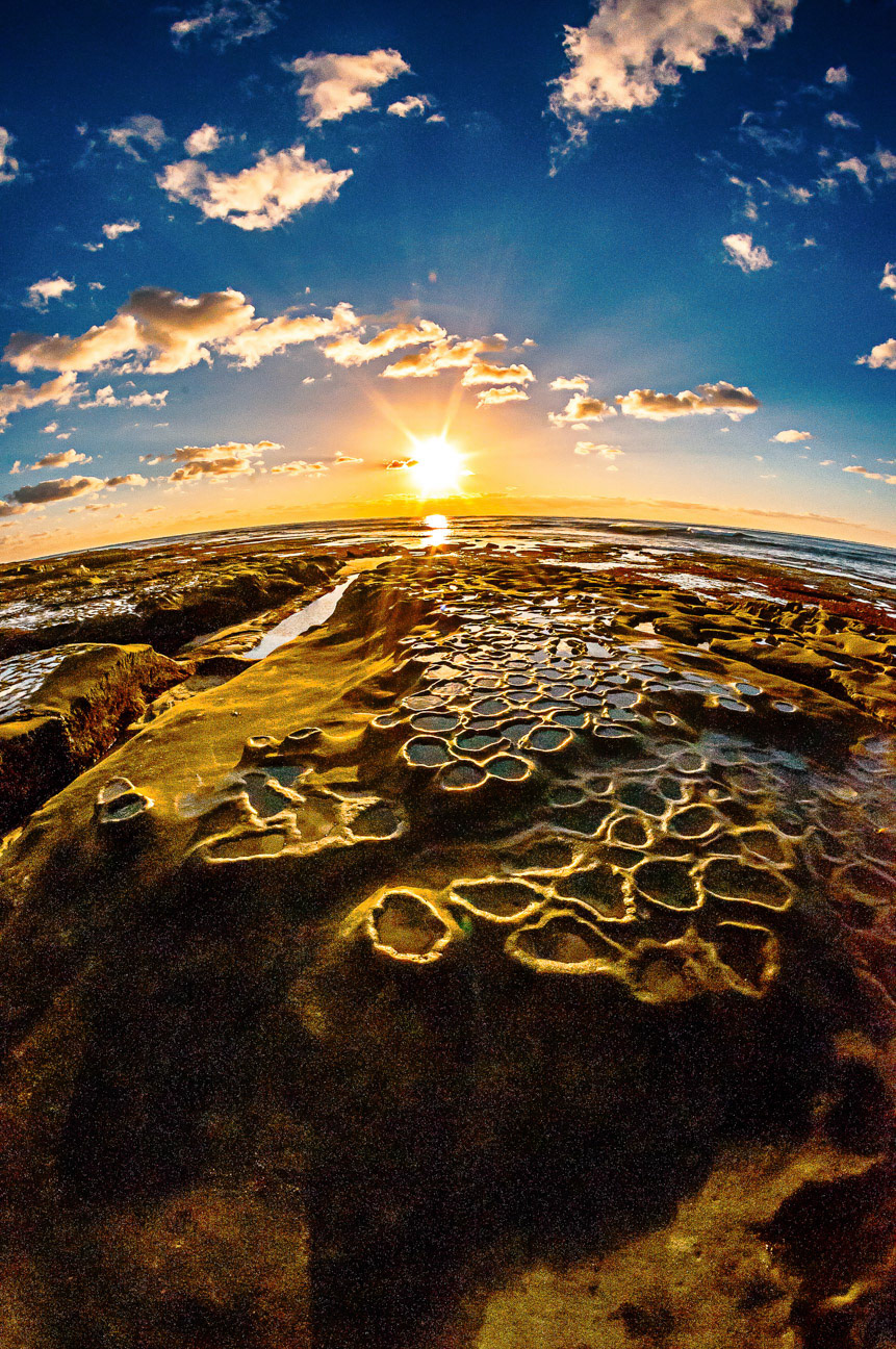 La Jolla Hospital Reef 3