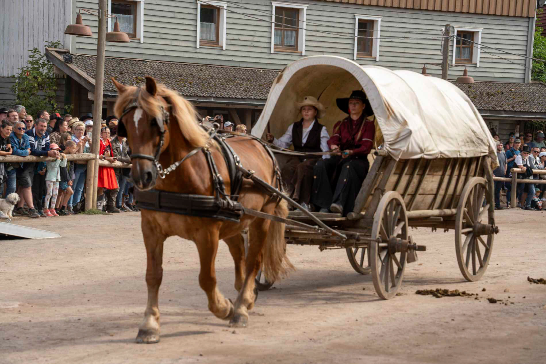 Western Show