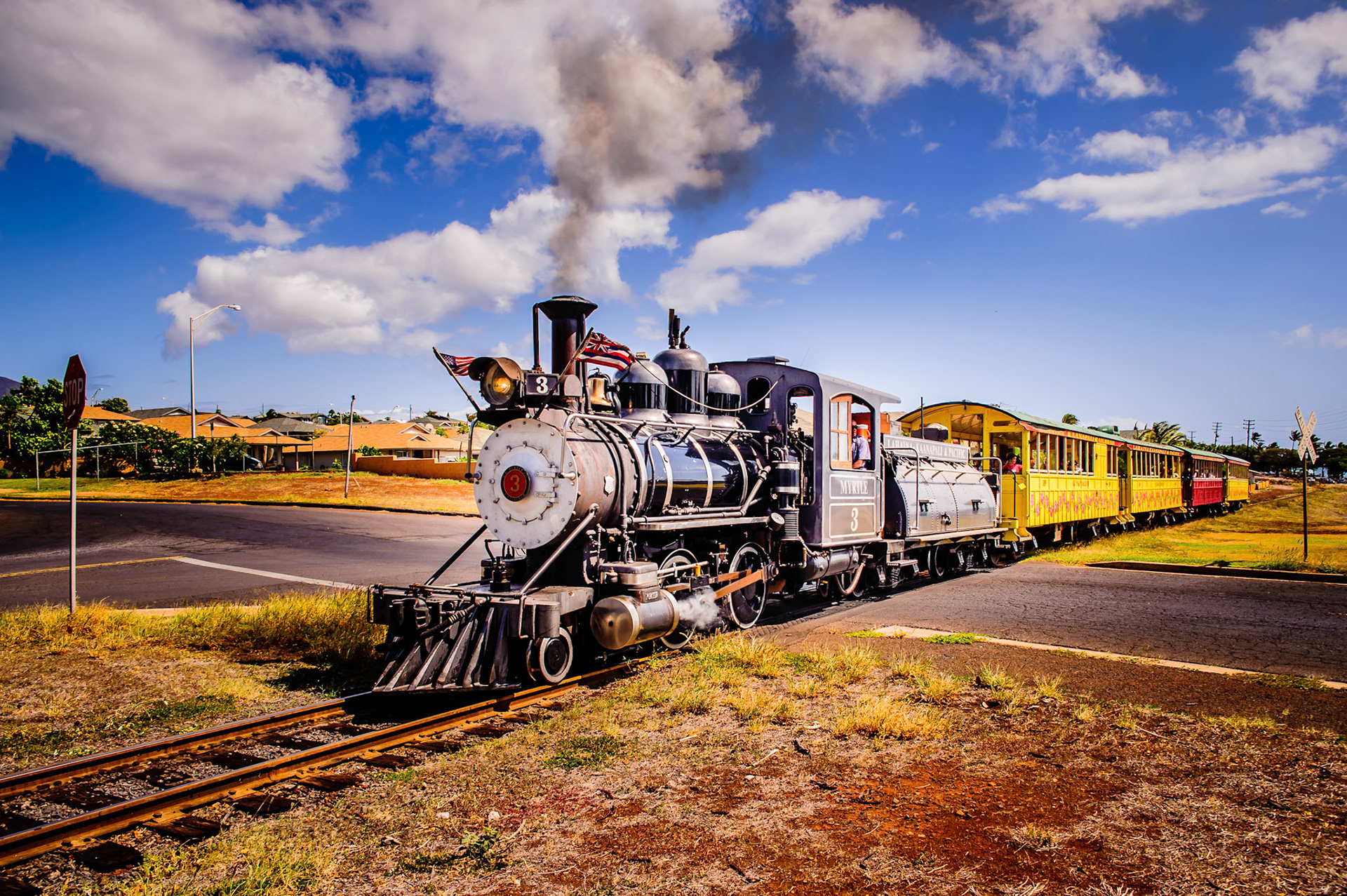Myrtle Sugar Cane Train
