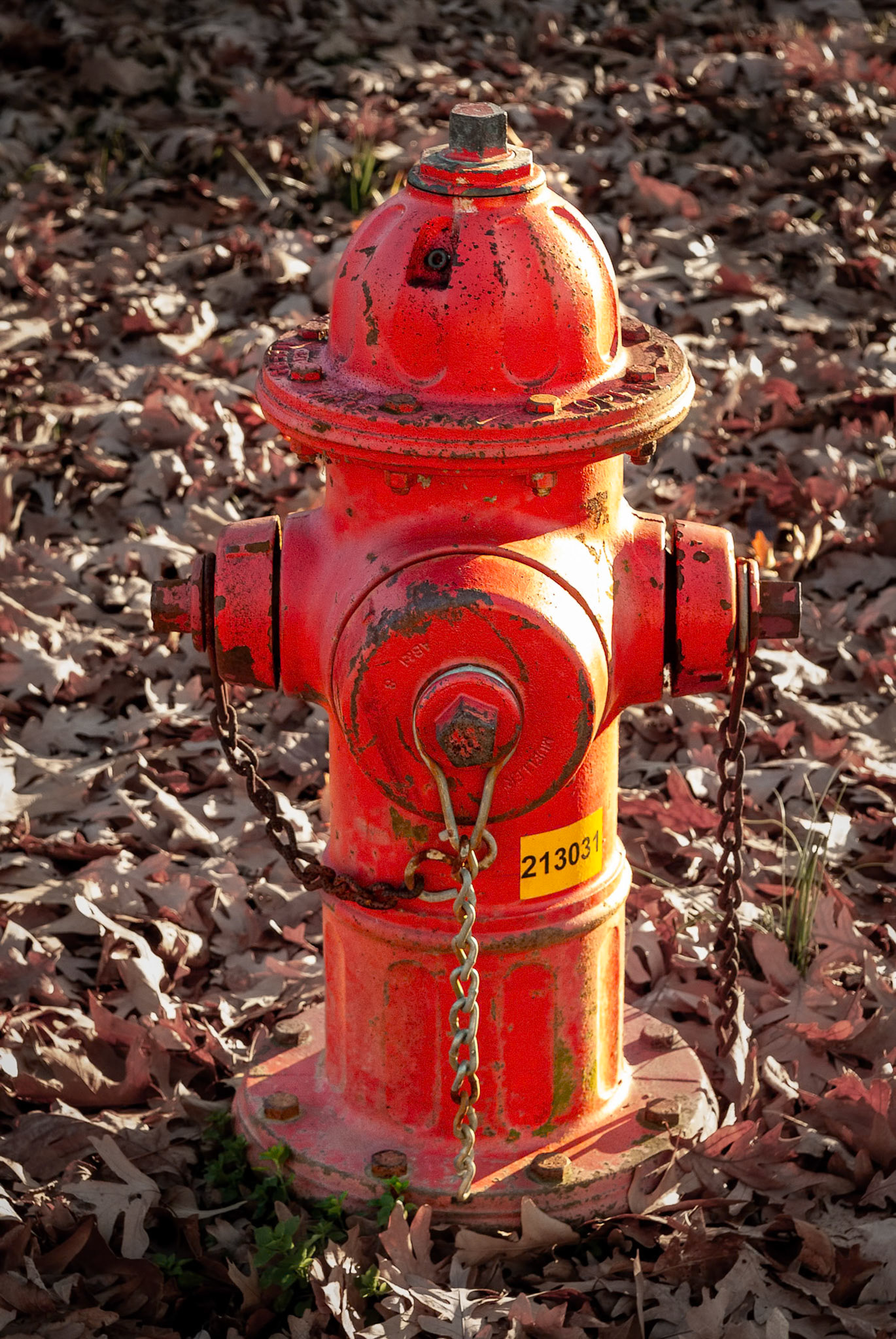 Metal Fireman