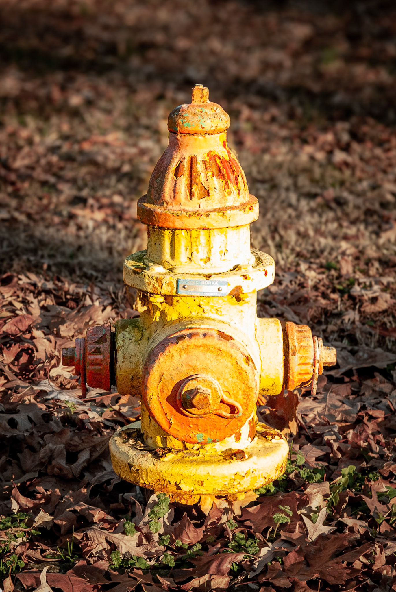 Metal Fireman