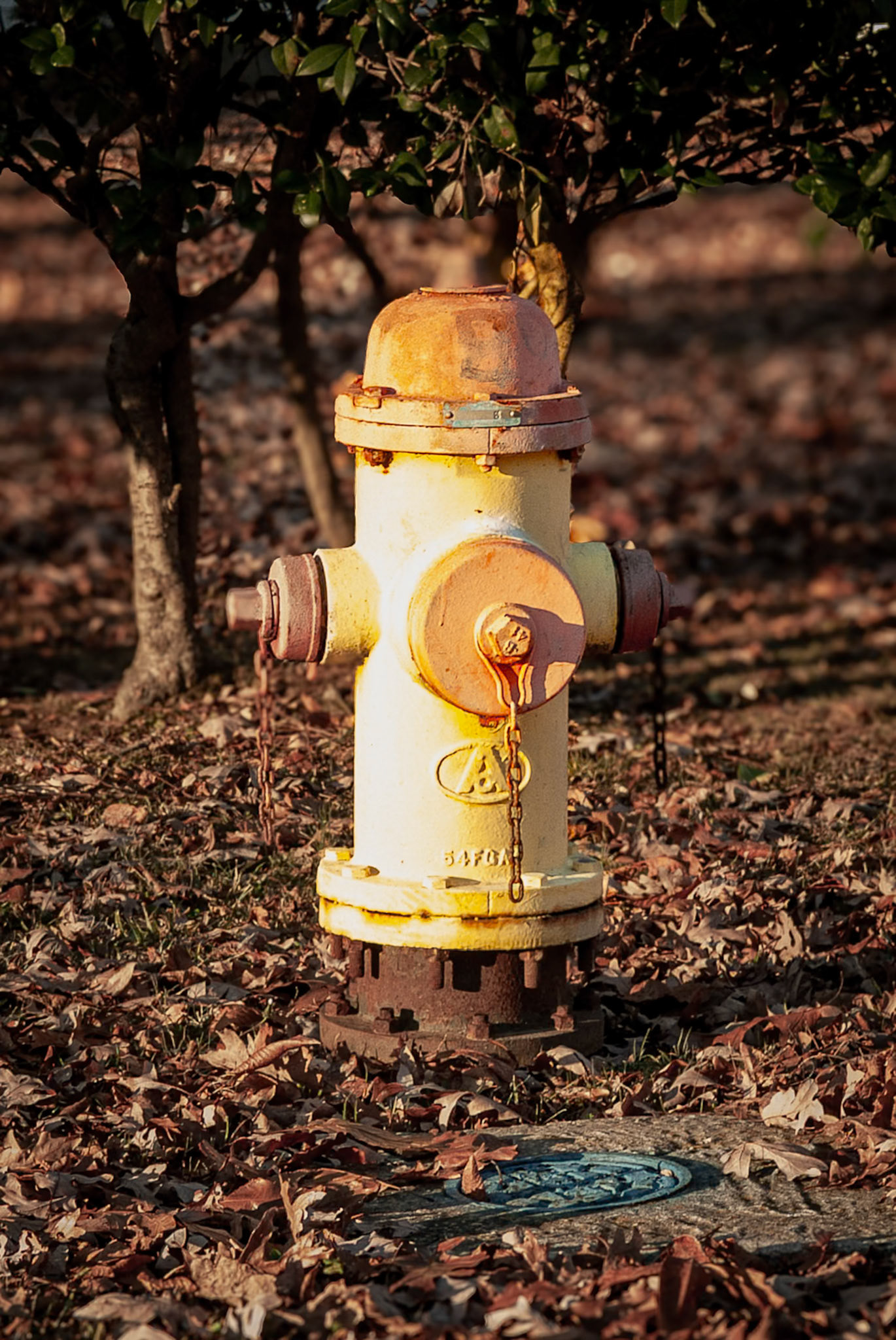Metal Fireman