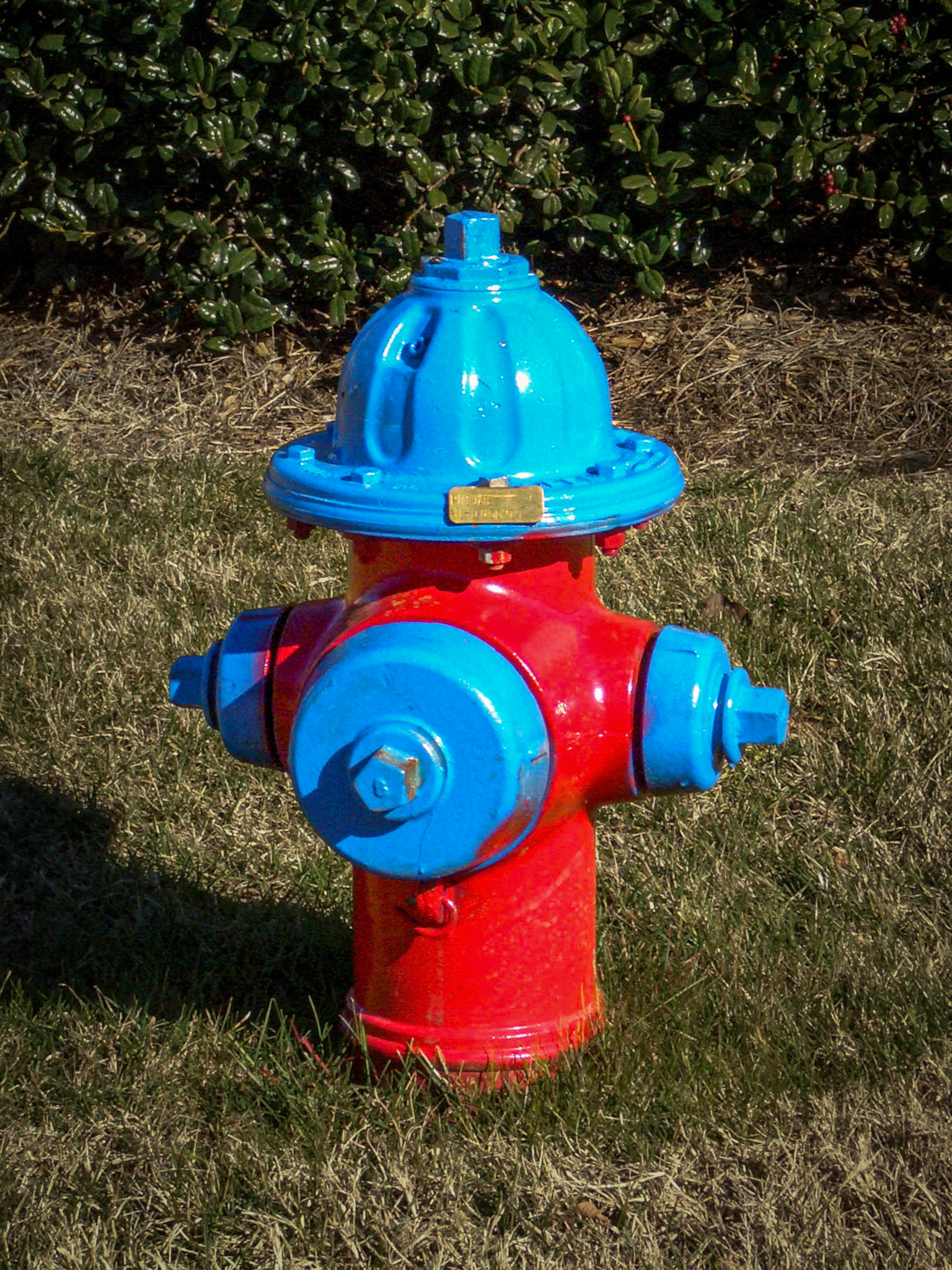 Metal Fireman