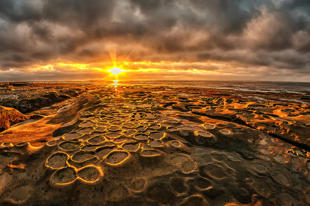 La Jolla Hospital Reef 2