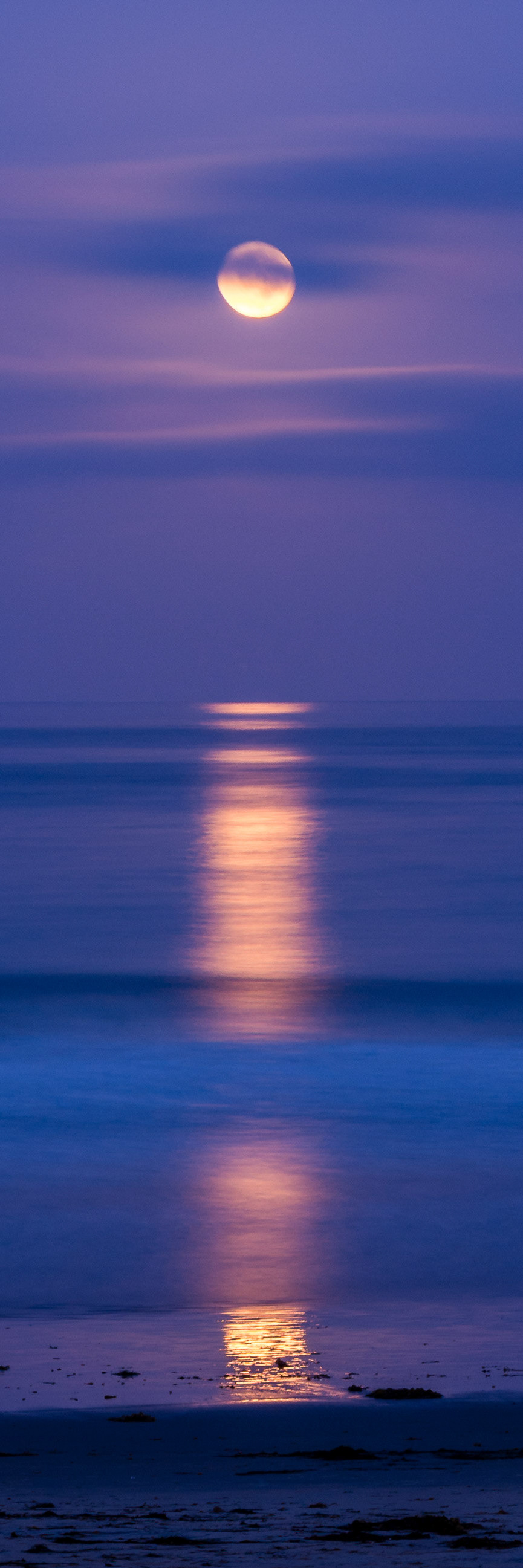 San Diego Crystal Pier