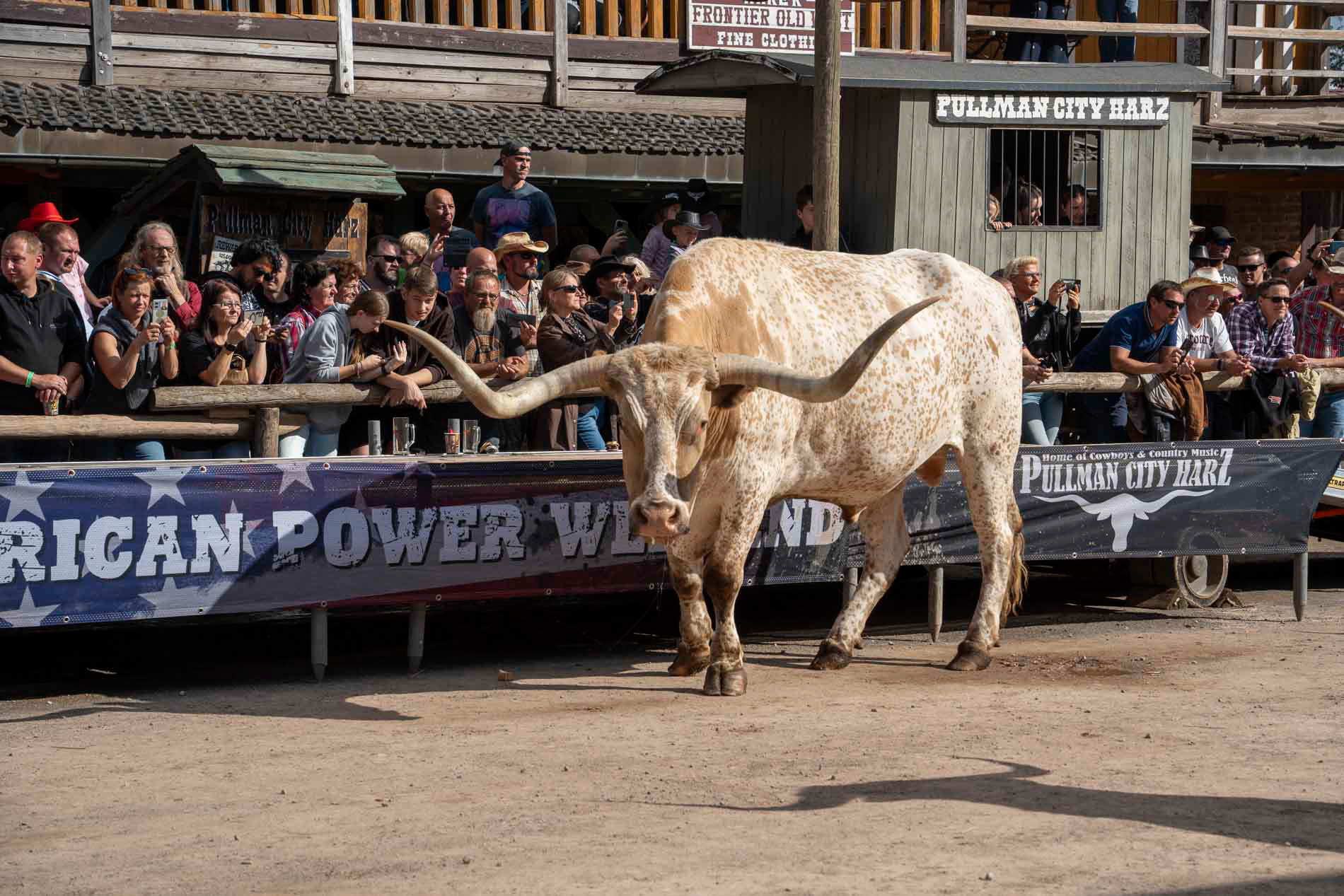 Western Show