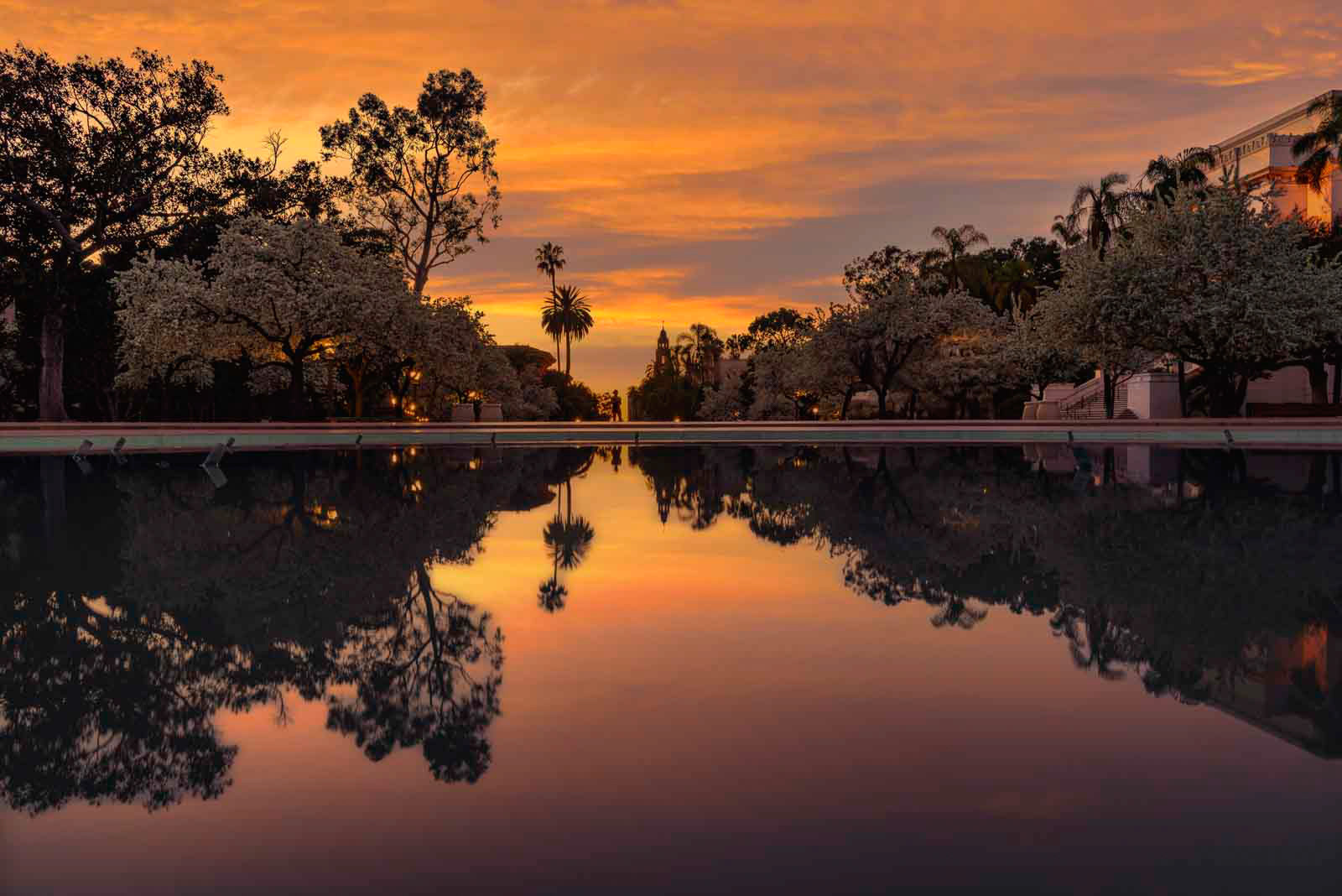 San Diego - Balboa Park  - Sunset