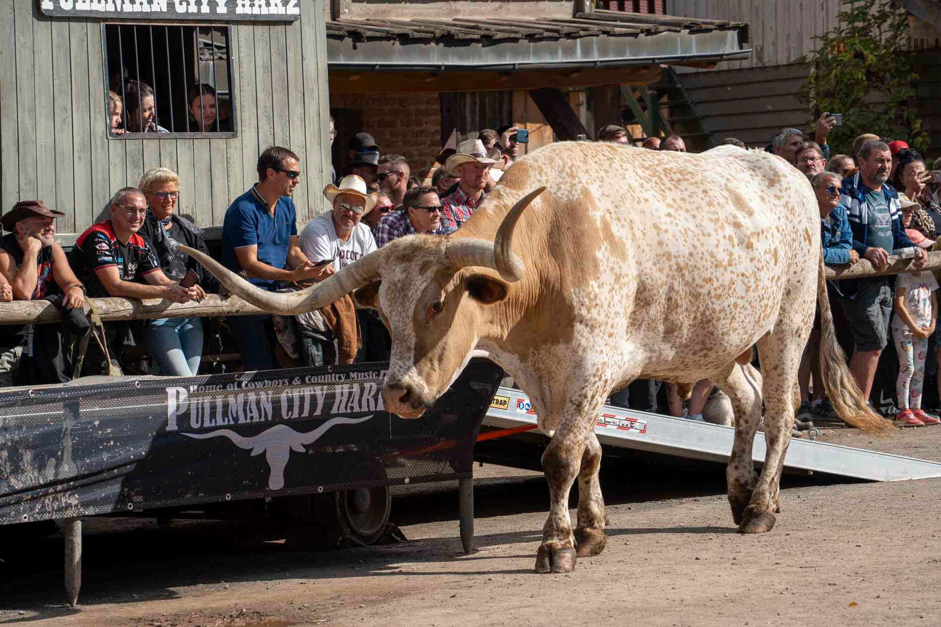 Western Show