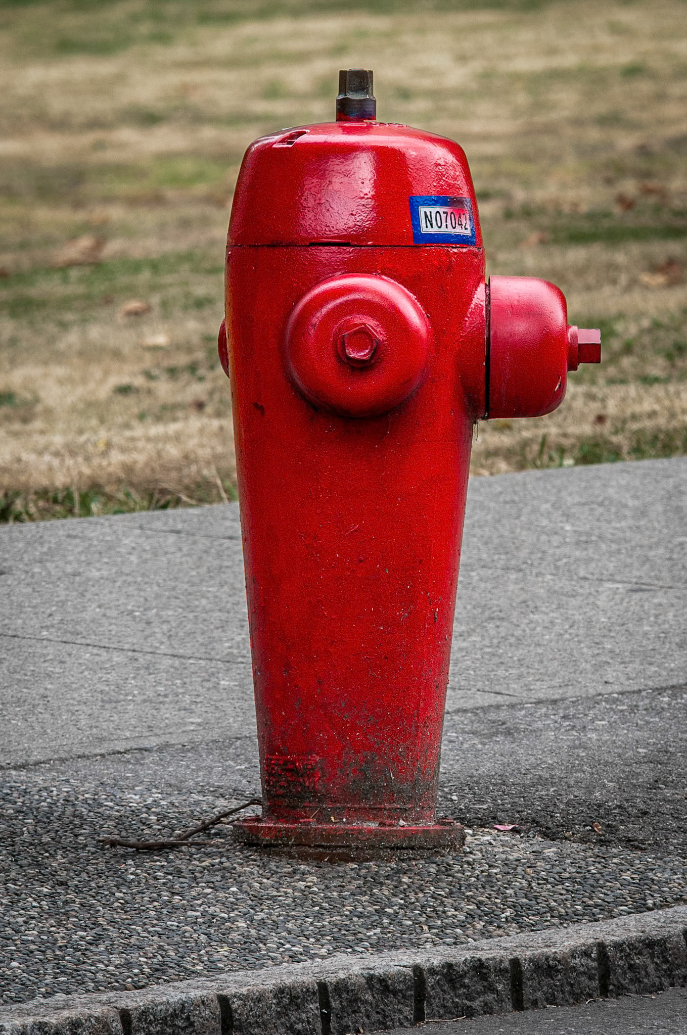 Vancouver Metal Fireman