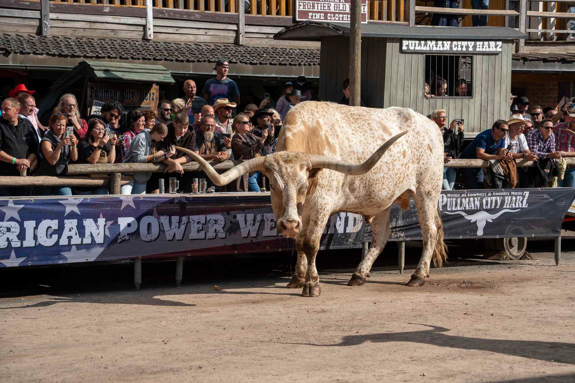 Western Show