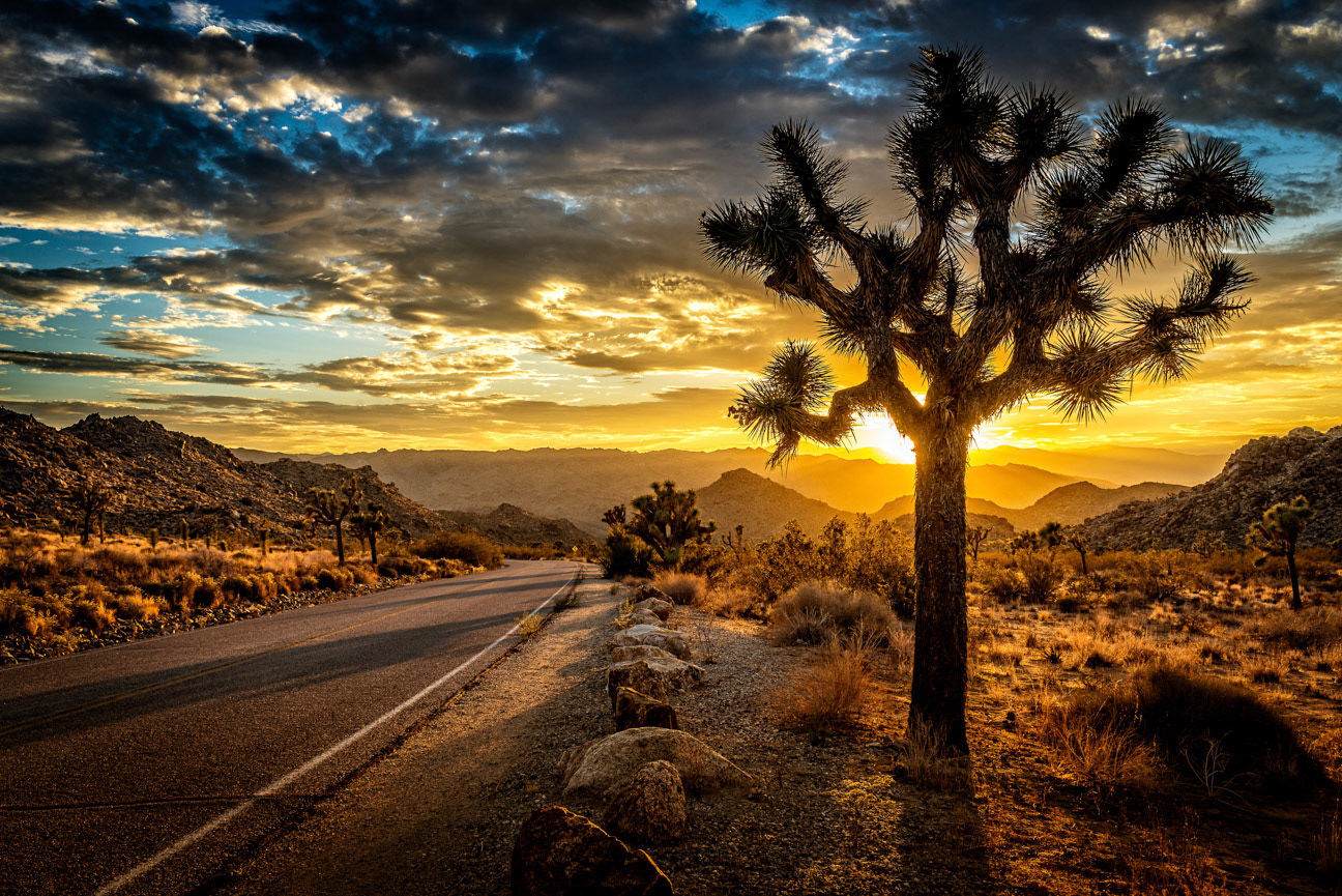 Joshua Tree National Park 2