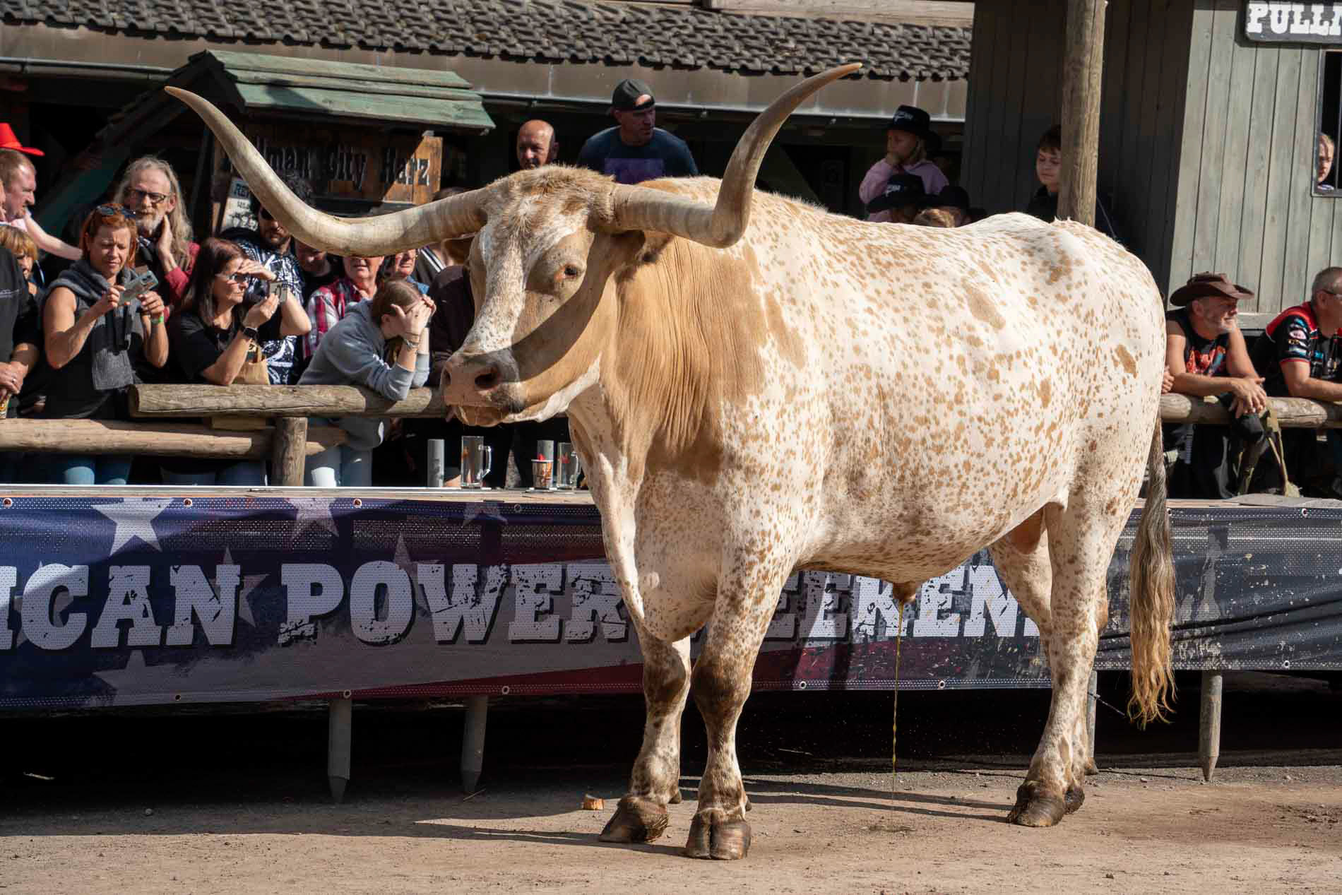 Western Show