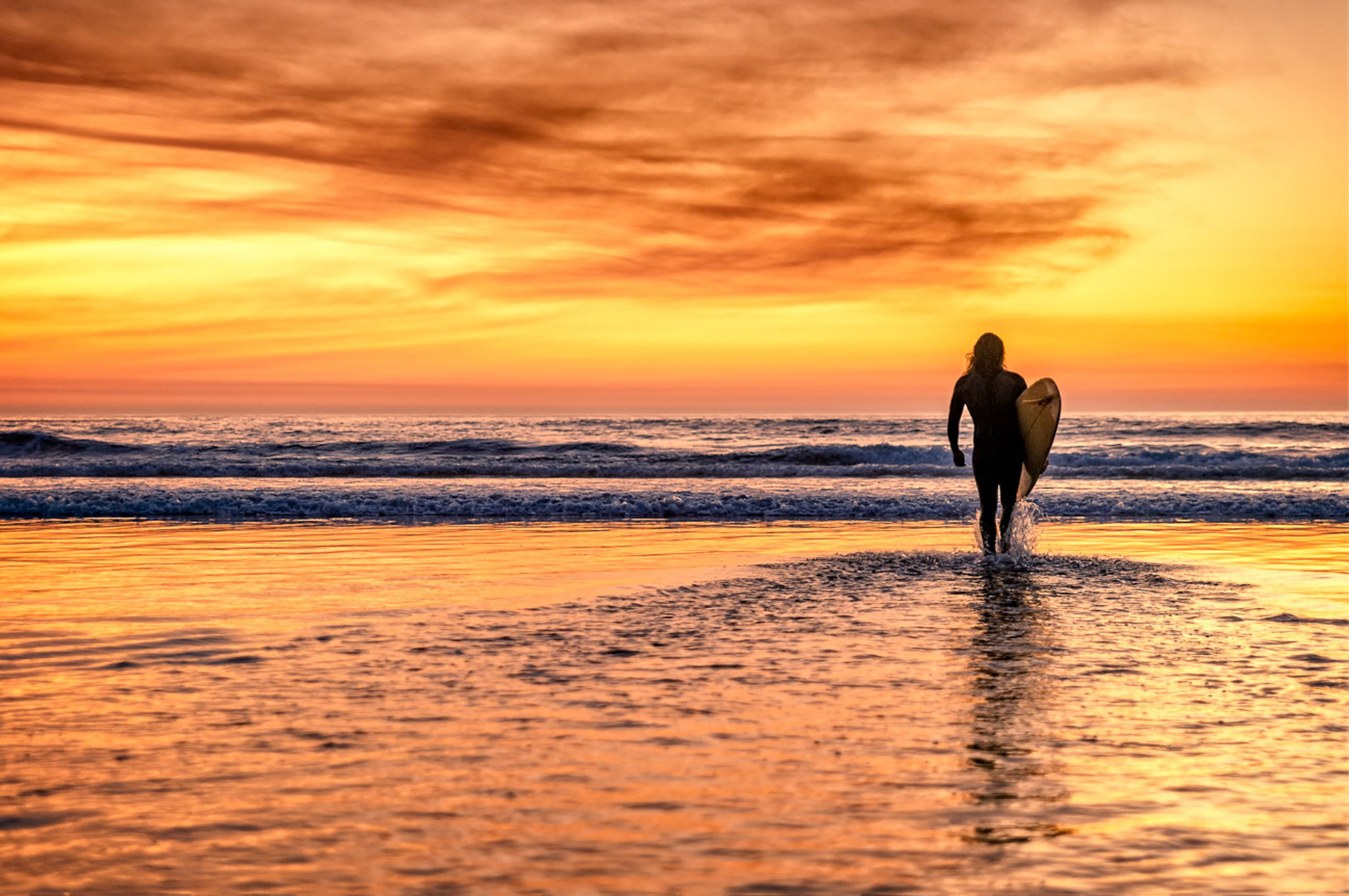 Sunset Surfer Pacific Beach