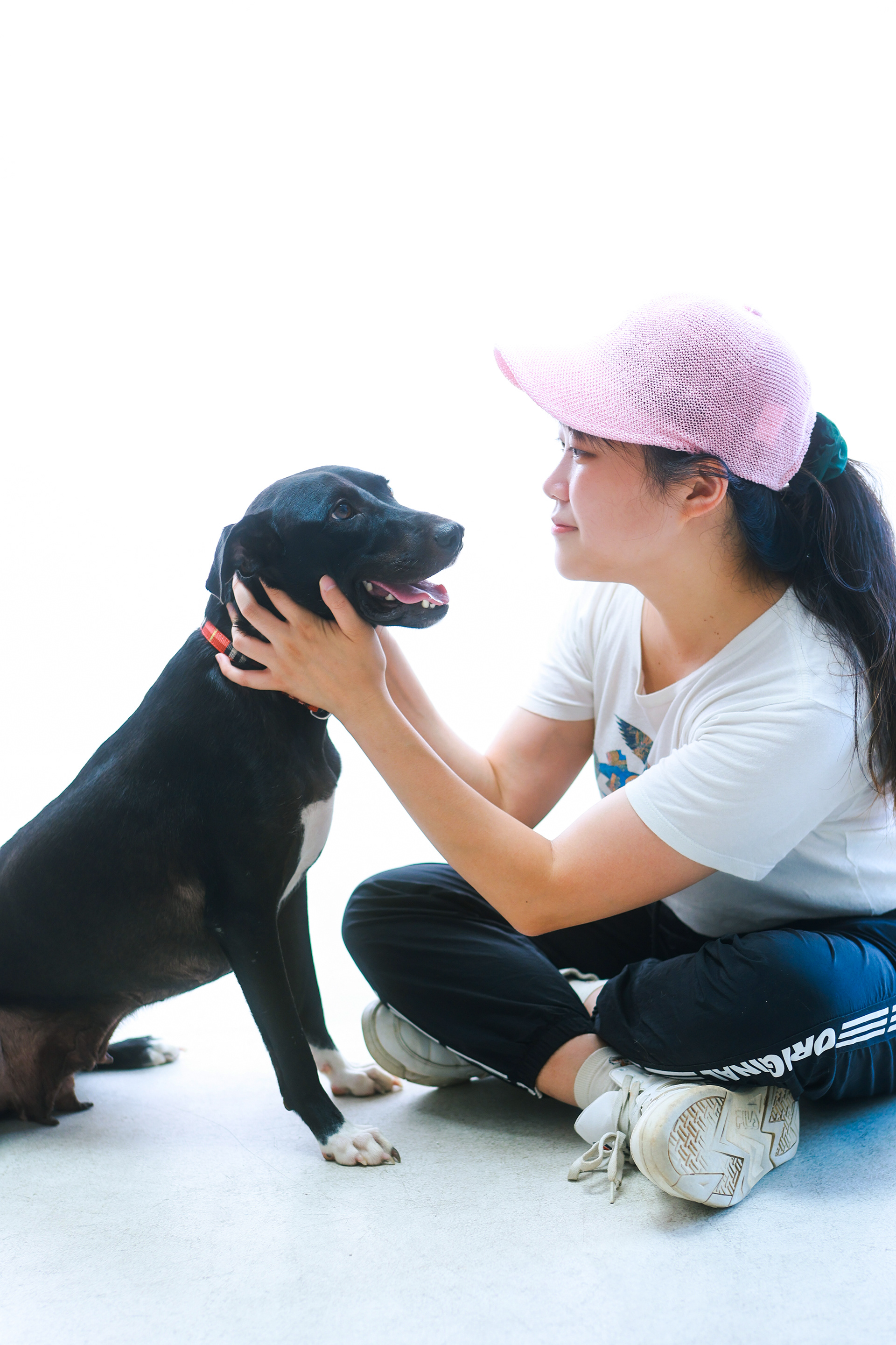 유기견 보호소의 사랑스러운 벨라(현재는 입양!)
