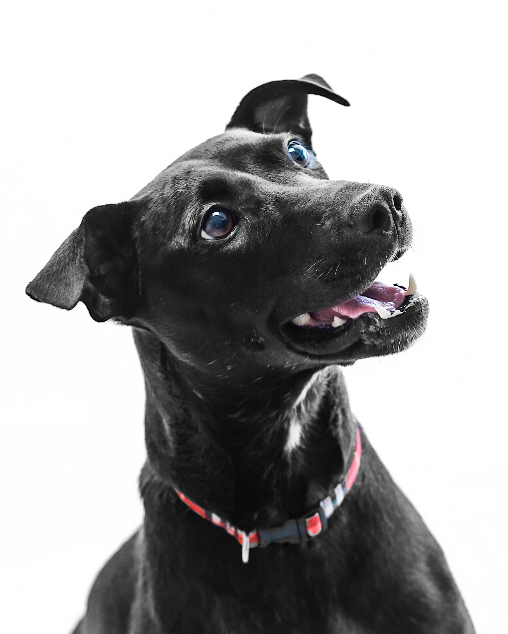 이렇게 쨍한 느낌도 가능해요!