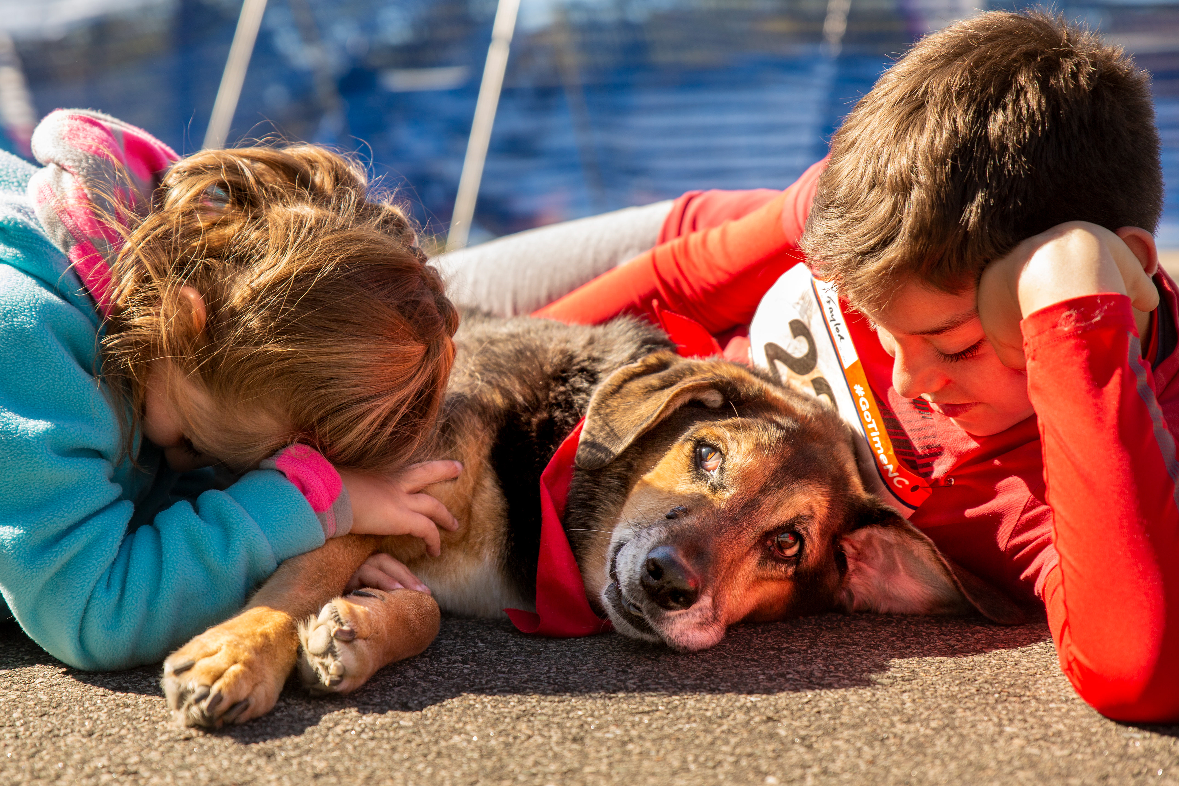 Trigger, middle, 15, rests between Kaylee Lachapelle, left, 5, and her brother, Taylor, 11, at the Paws on Parade at Greenfield Lake Amphitheater in in Wilmington, N.C., on Saturday, March 23, 2019.