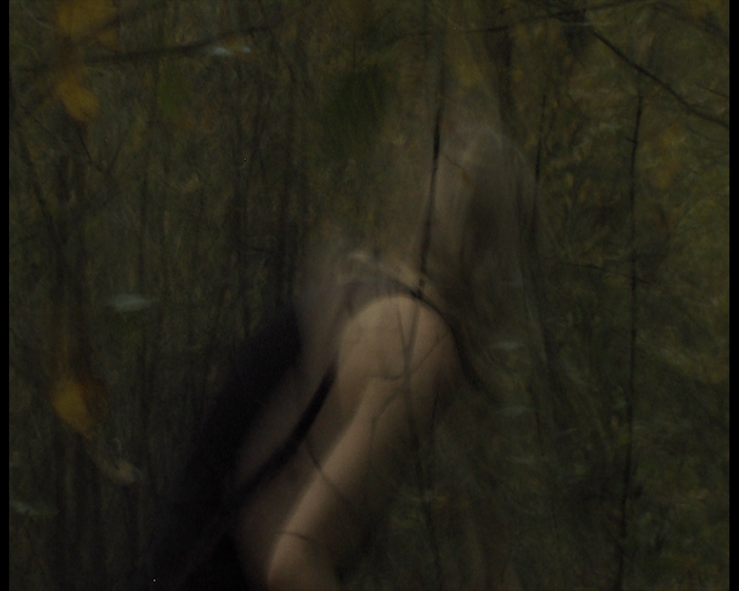 Anne Chris Bakker