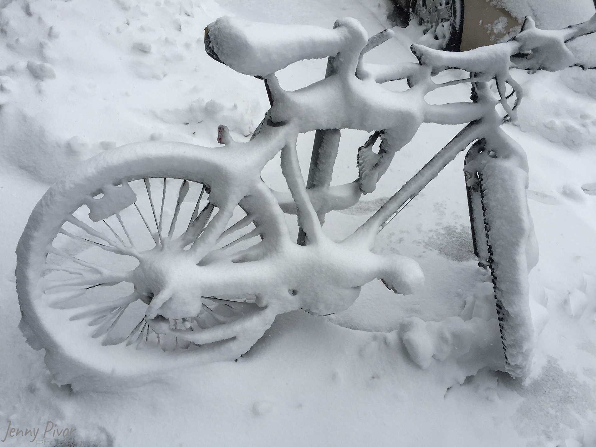 I TOLD you to put that bike away!