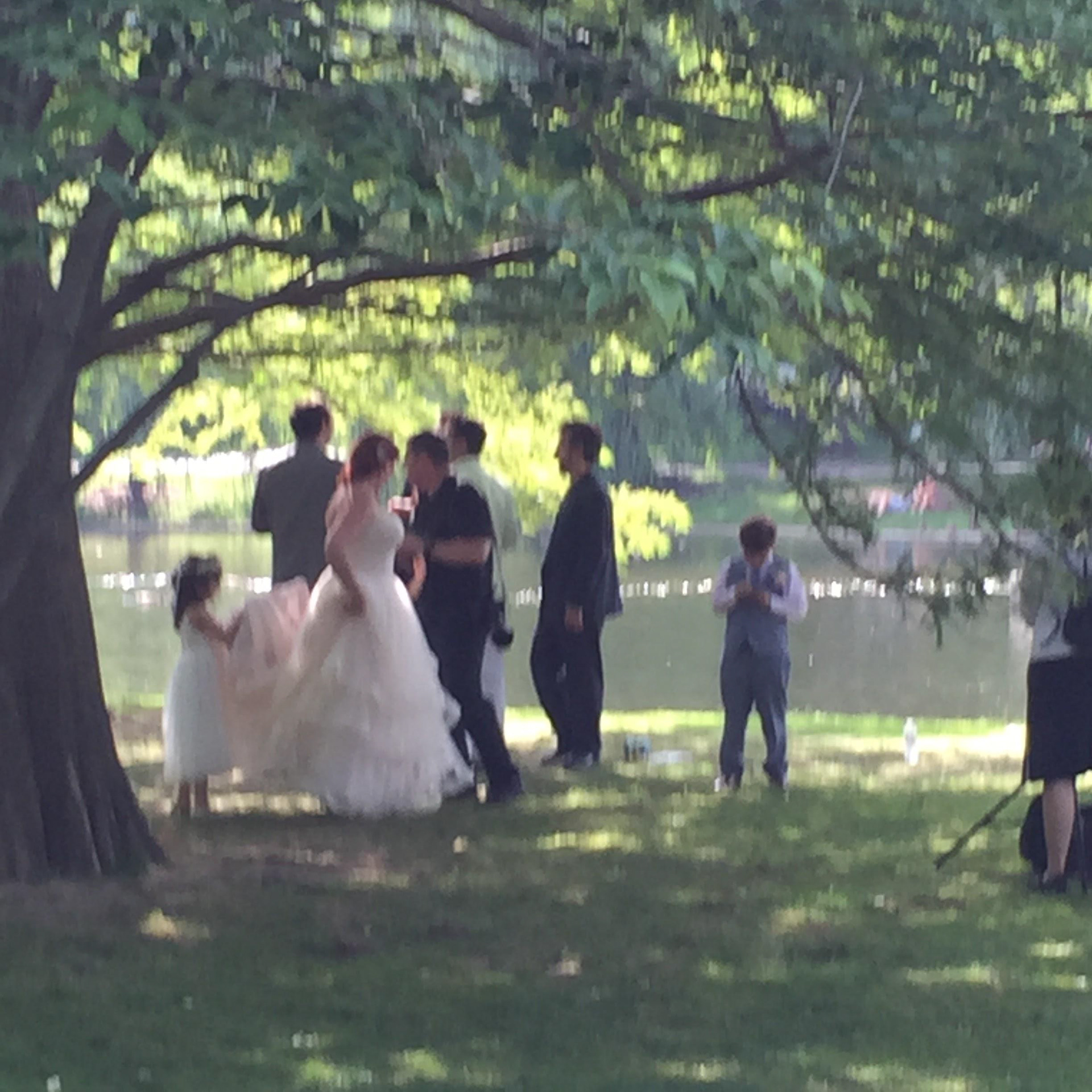 Public Garden Wedding