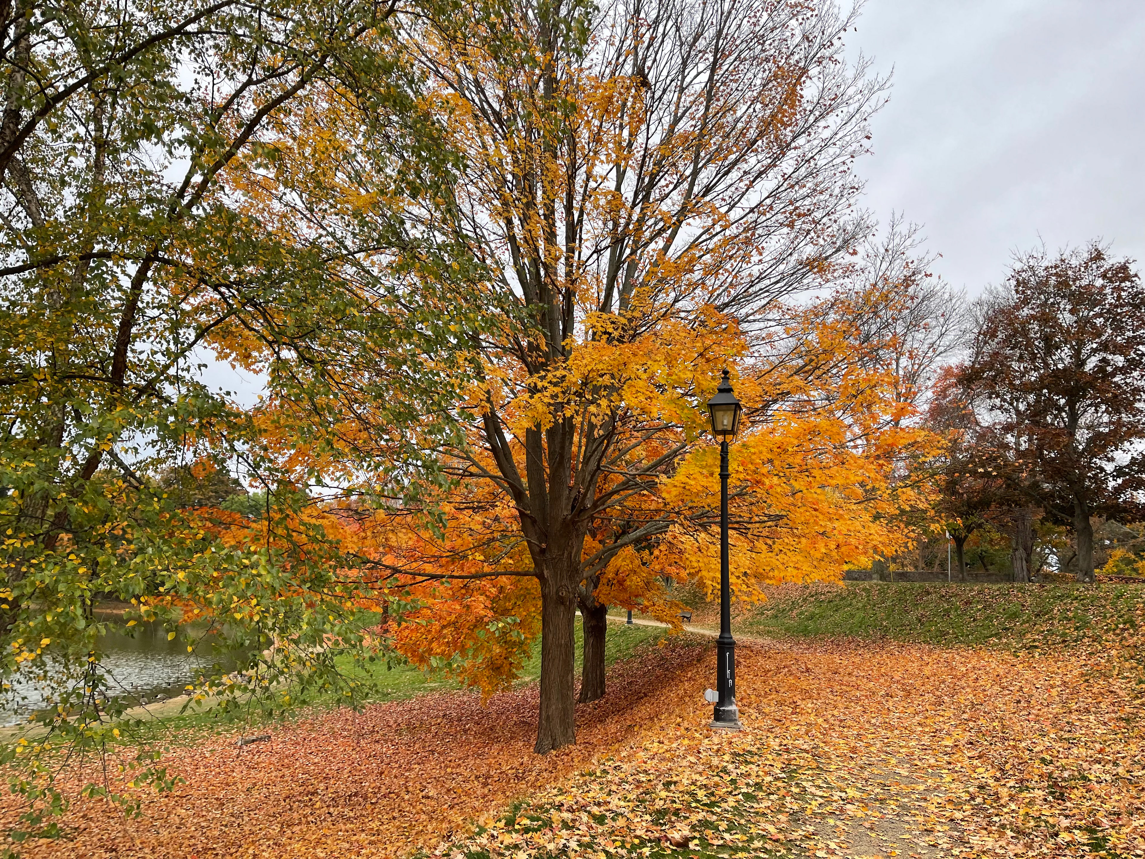 It Won't be Long Now