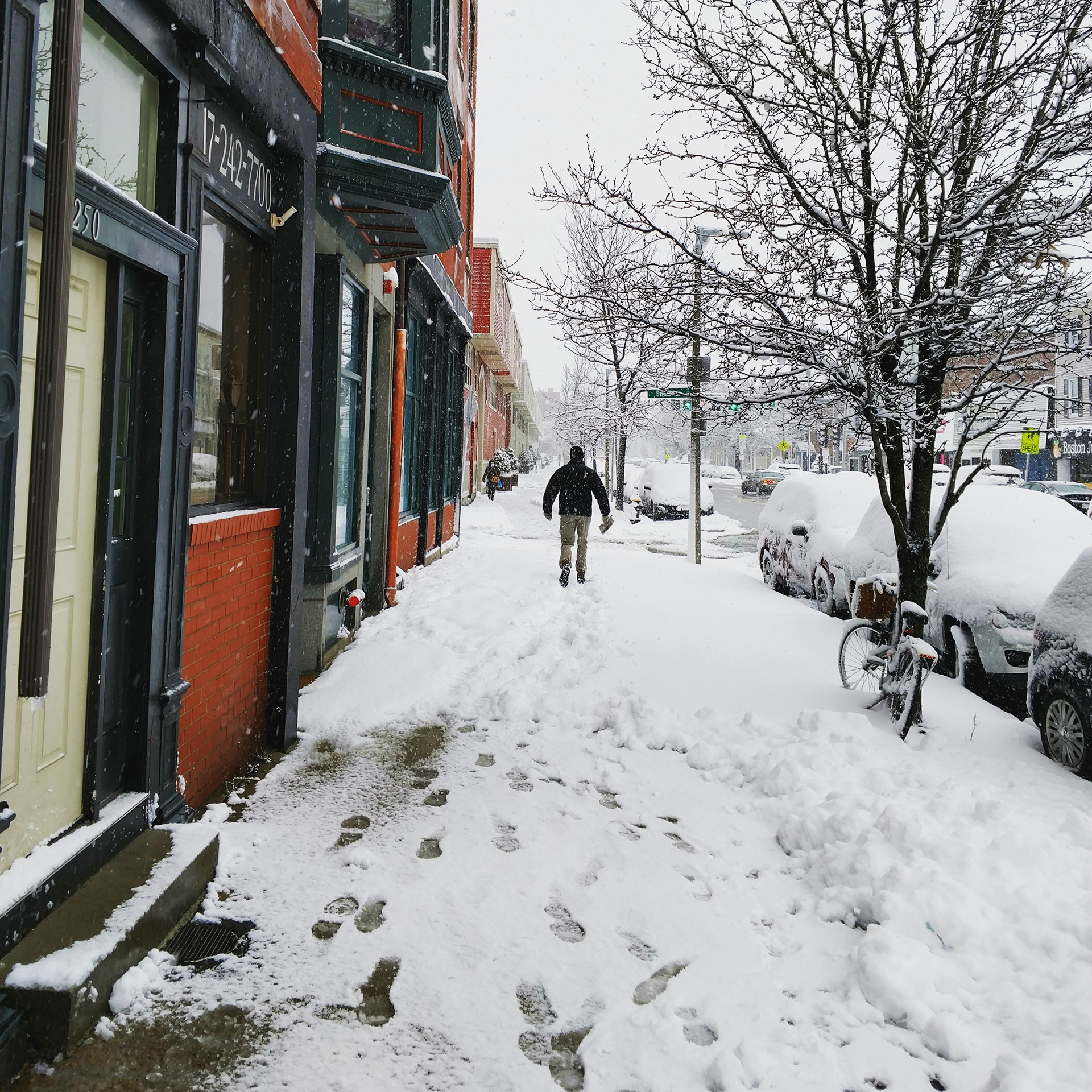 Trudging in Charlestown in January