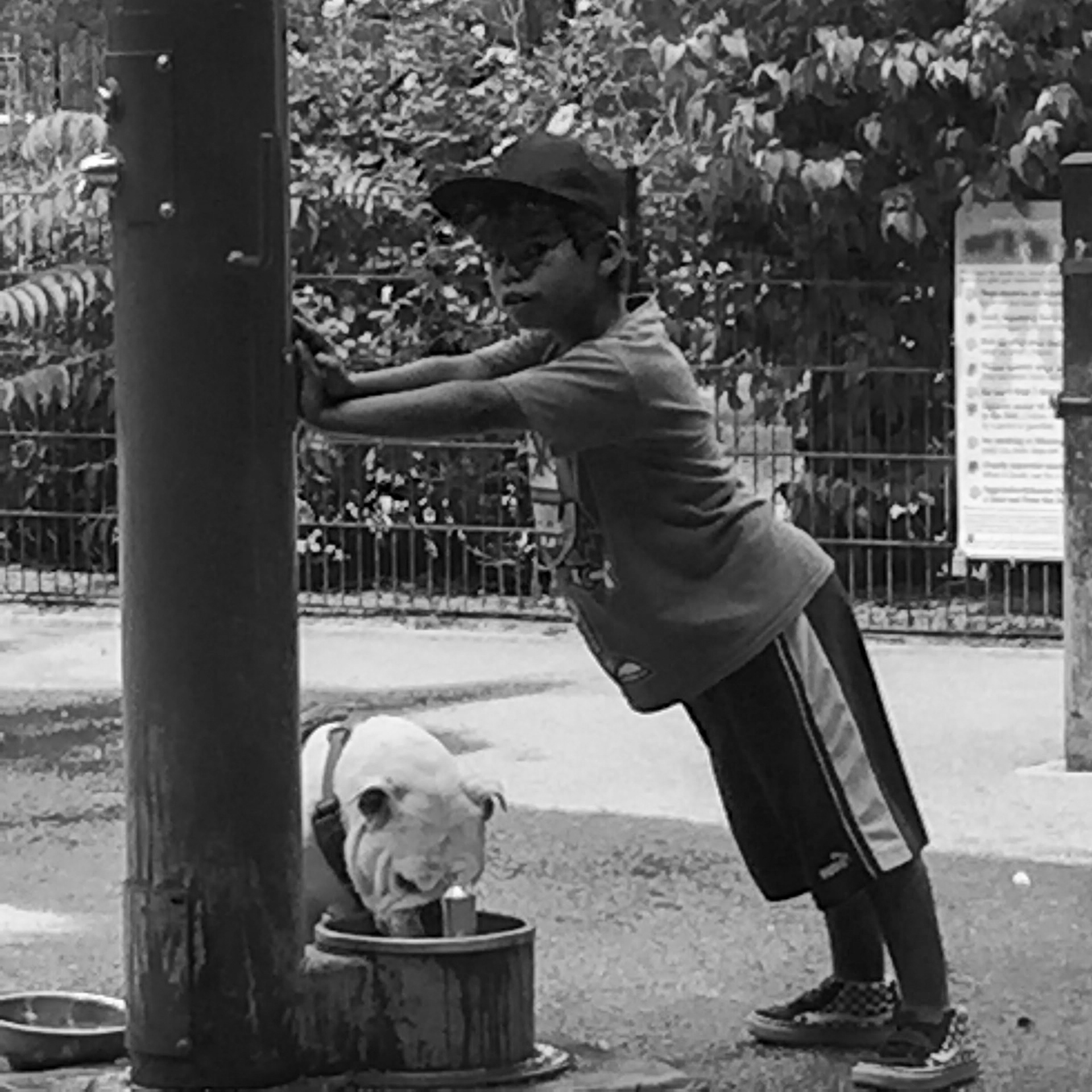 Holding up a Post at the Dog Park